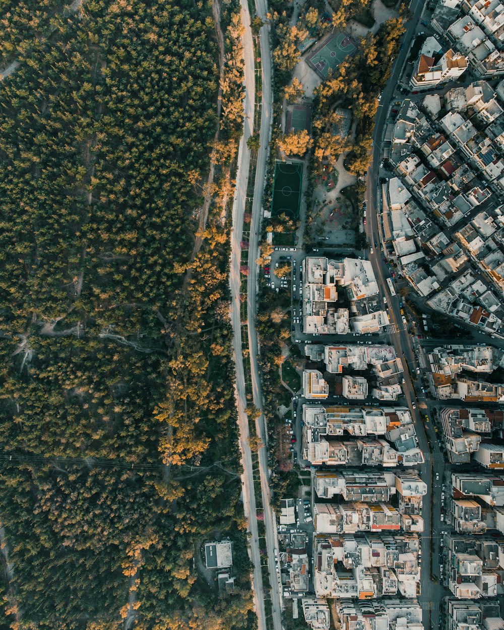 aerial view of city during daytime