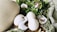 A collection of decorative Easter-themed items arranged on a soft, green crochet fabric. The setup includes three smooth, white eggs and a speckled duck figurine. Nestled among the eggs are wooden cut-outs shaped like rabbits and eggs, some with painted designs. Fresh green leaves and small white buds add to the natural and festive ambiance.