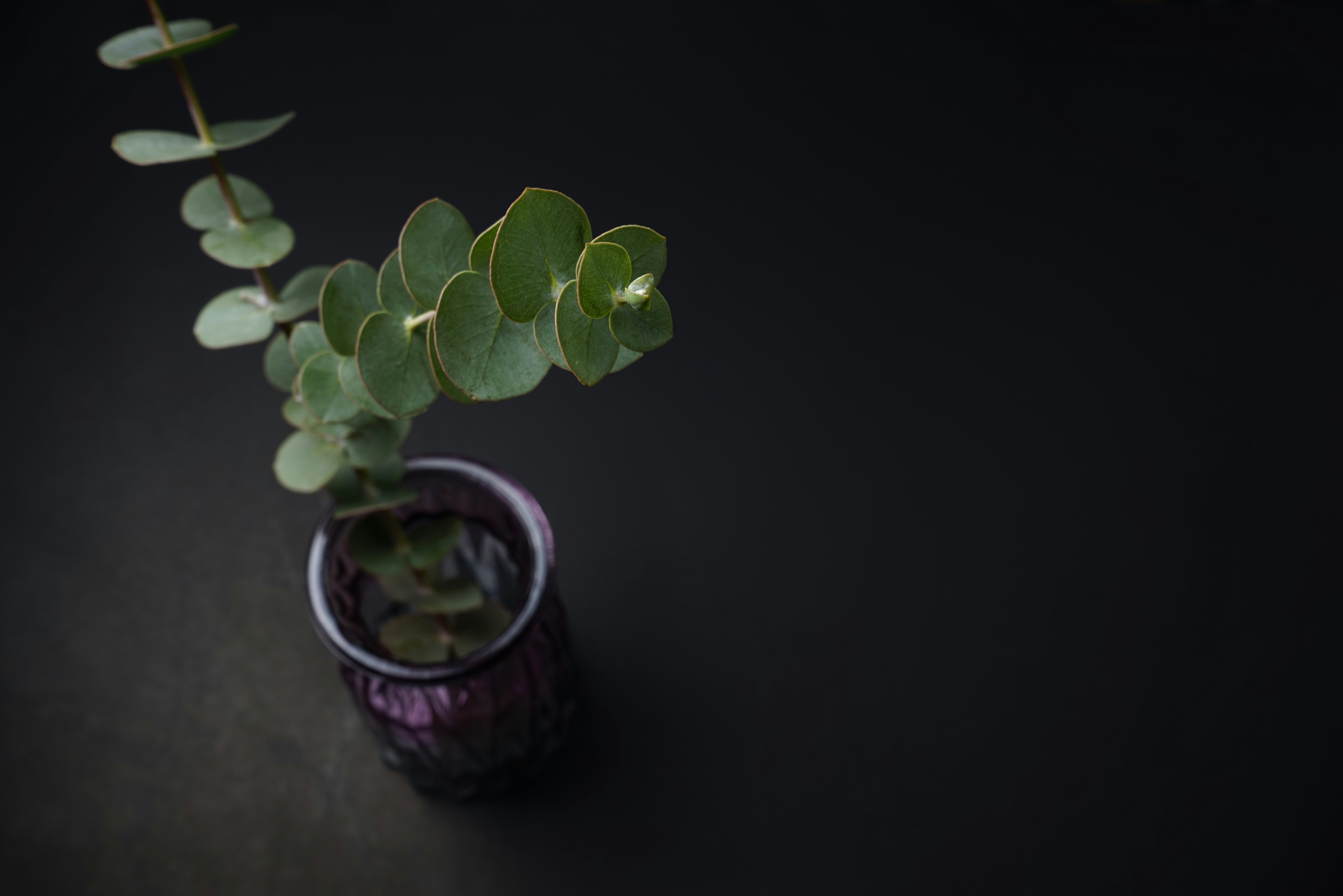 Photo by kilimanjarostudioz