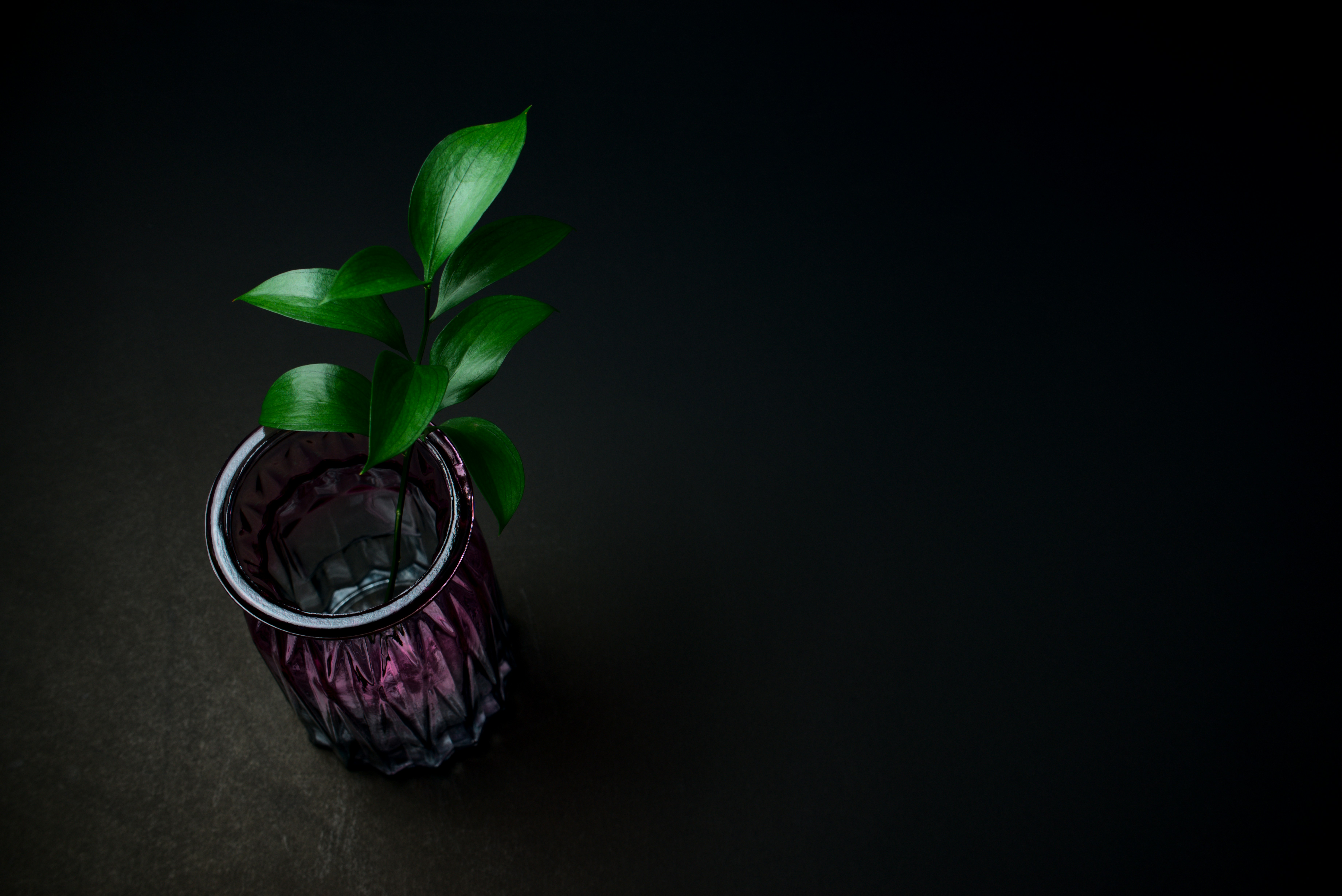 Photo by kilimanjarostudioz