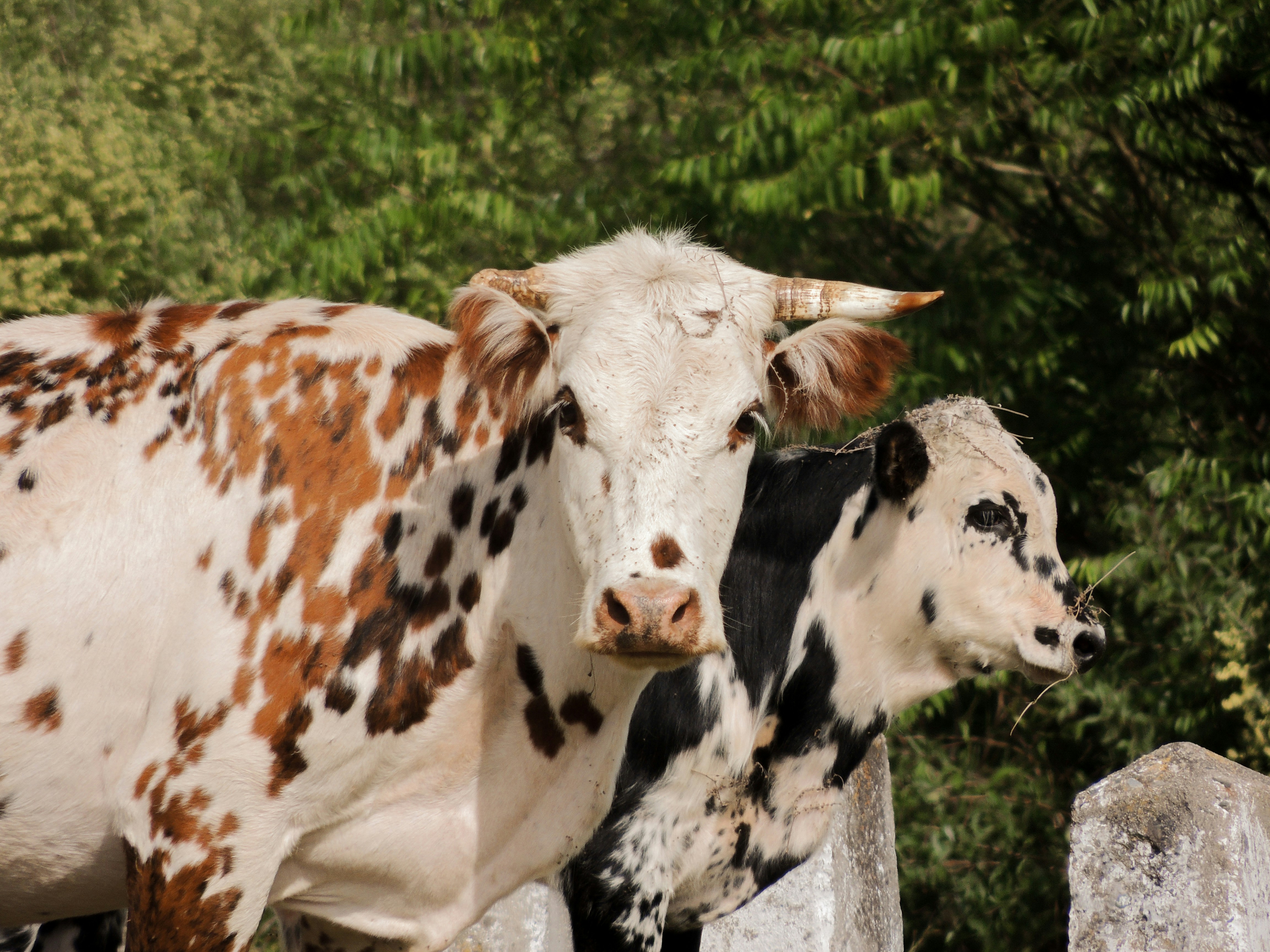 Roundup: Best Smart Plugs for Workshops and Maker Spaces (2026) — Safety and Power Under Pressure