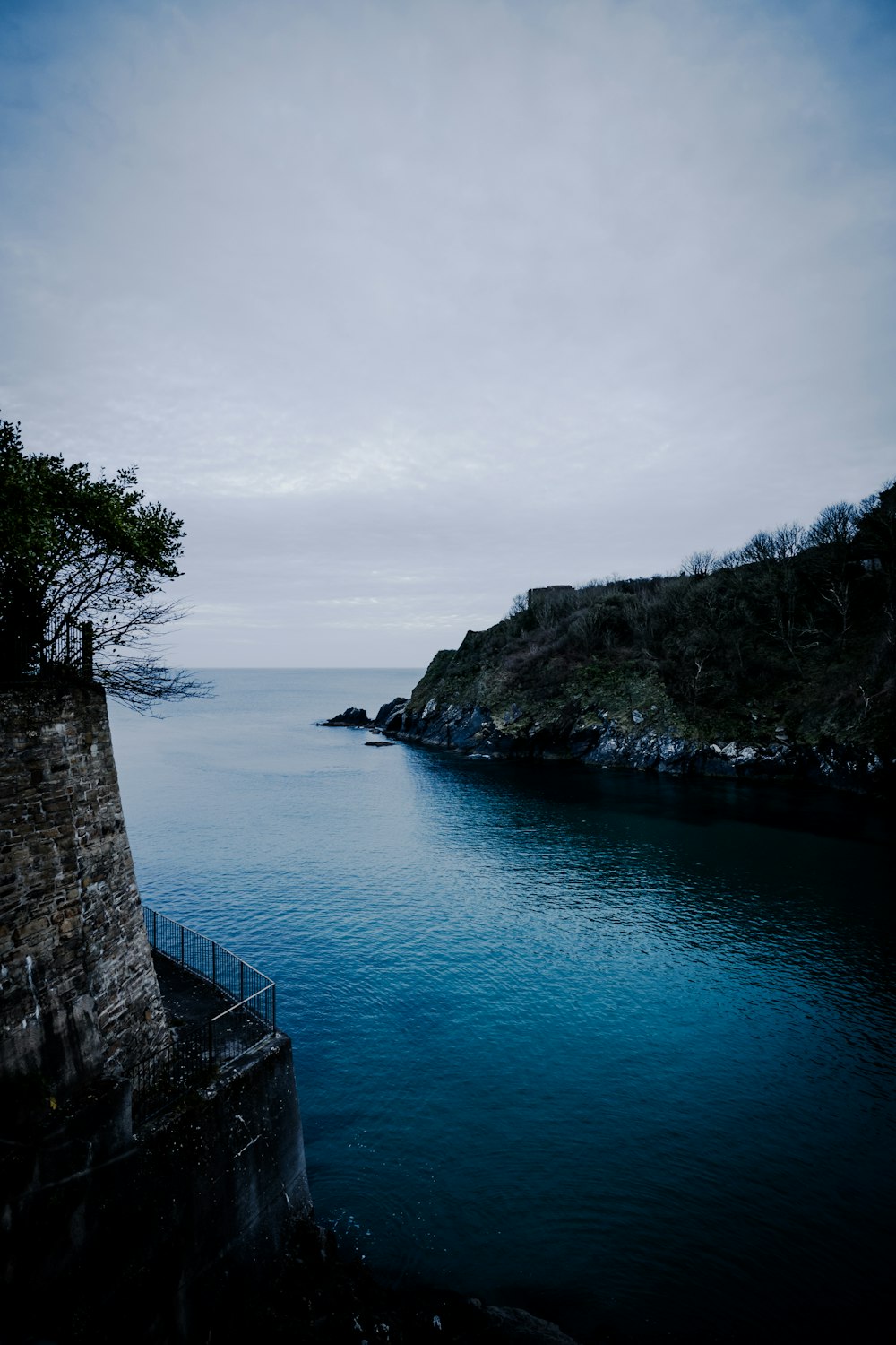 green trees beside blue sea under white sky during daytime