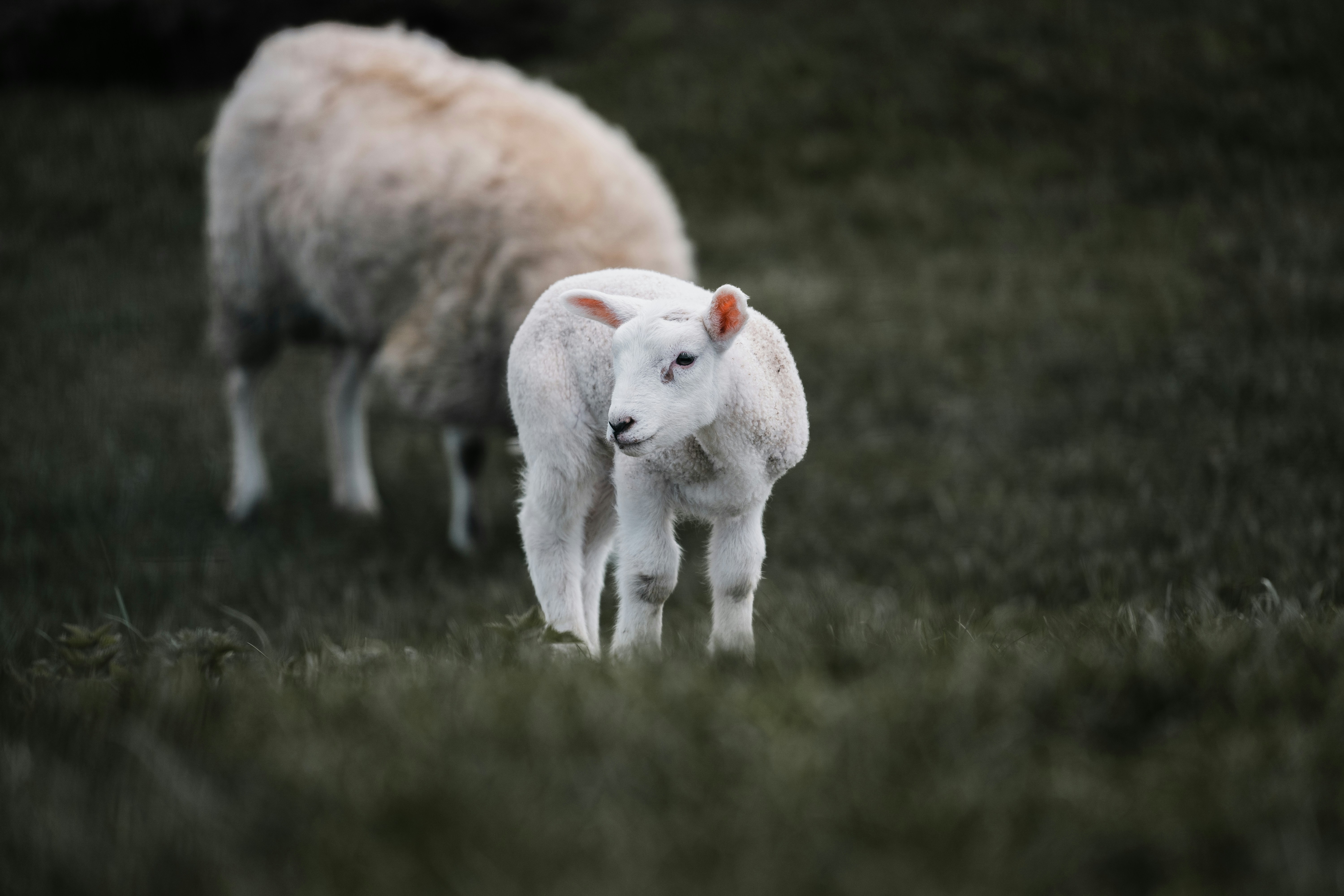 Photo by xandrovandewalle