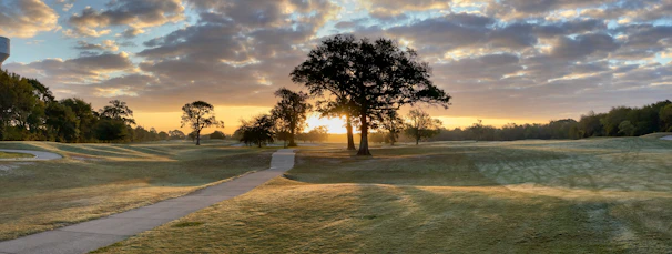 A serene landscape with a sunrise illuminating a path.