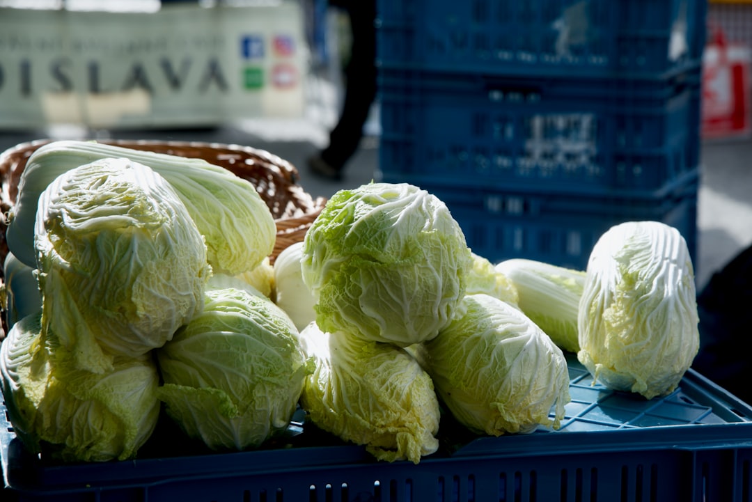 white garlic on blue metal rack