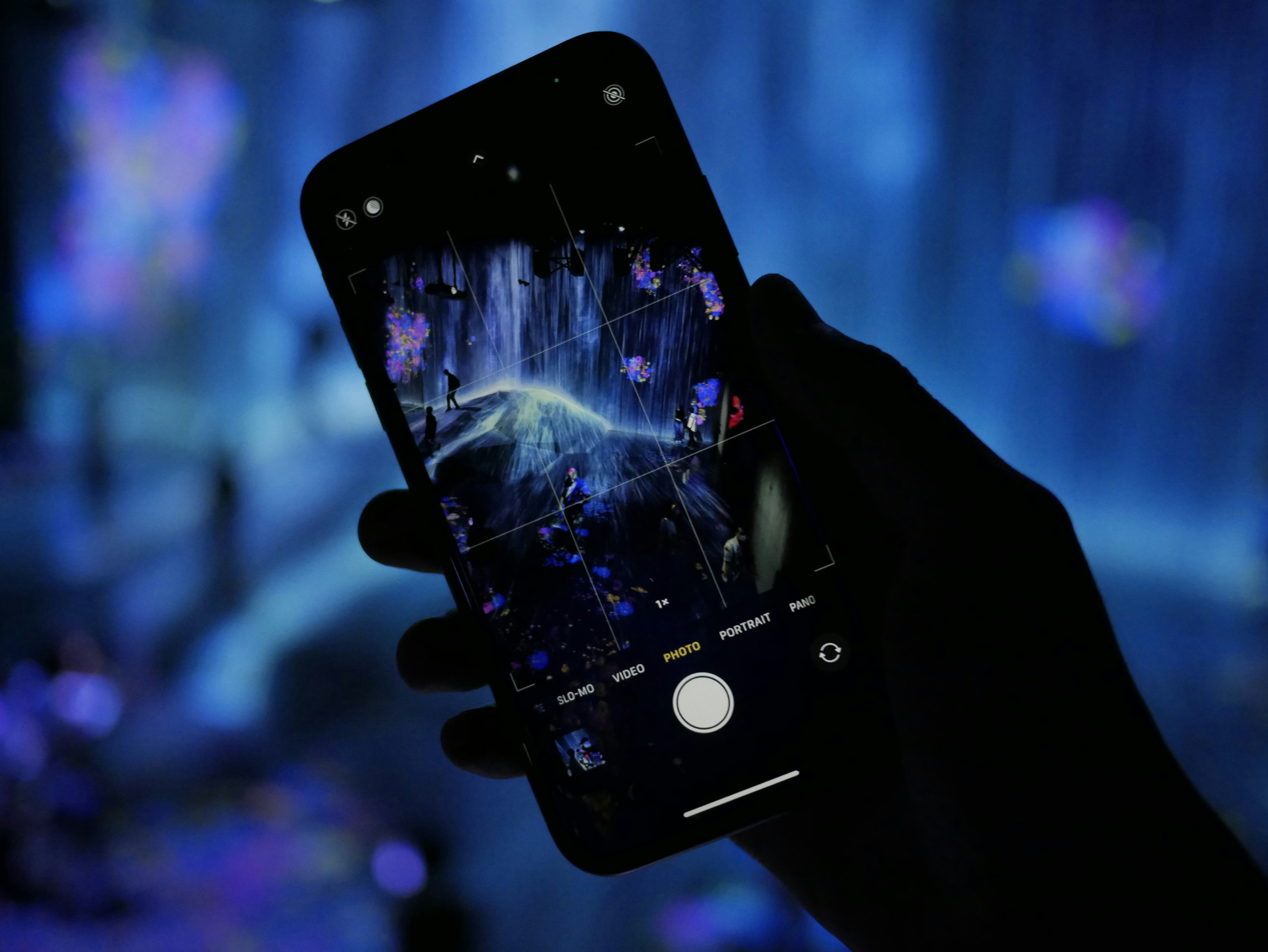 teamLab Borderless Mori Building DIGITAL ART MUSEUM