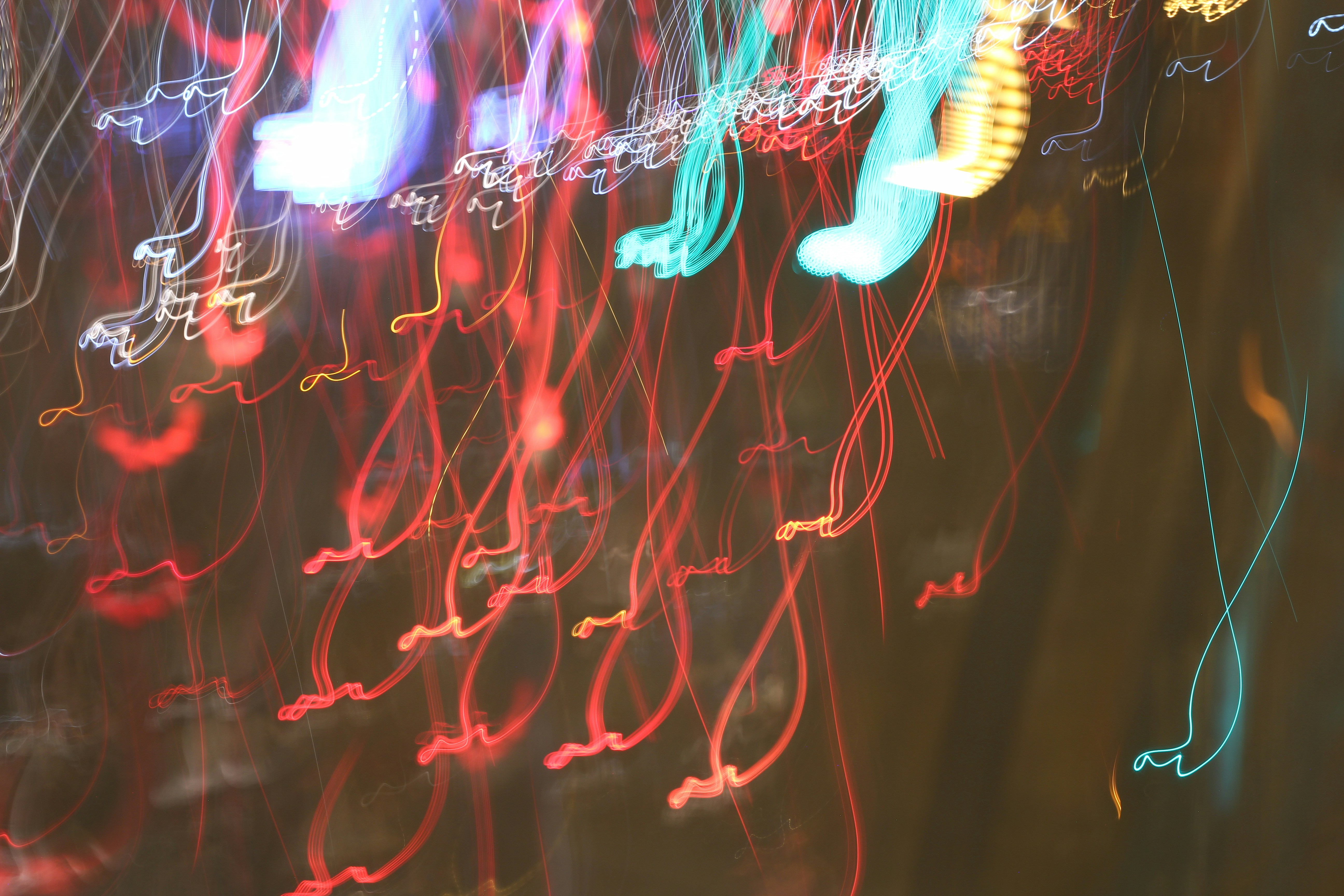 Photo by thinhngthinh304