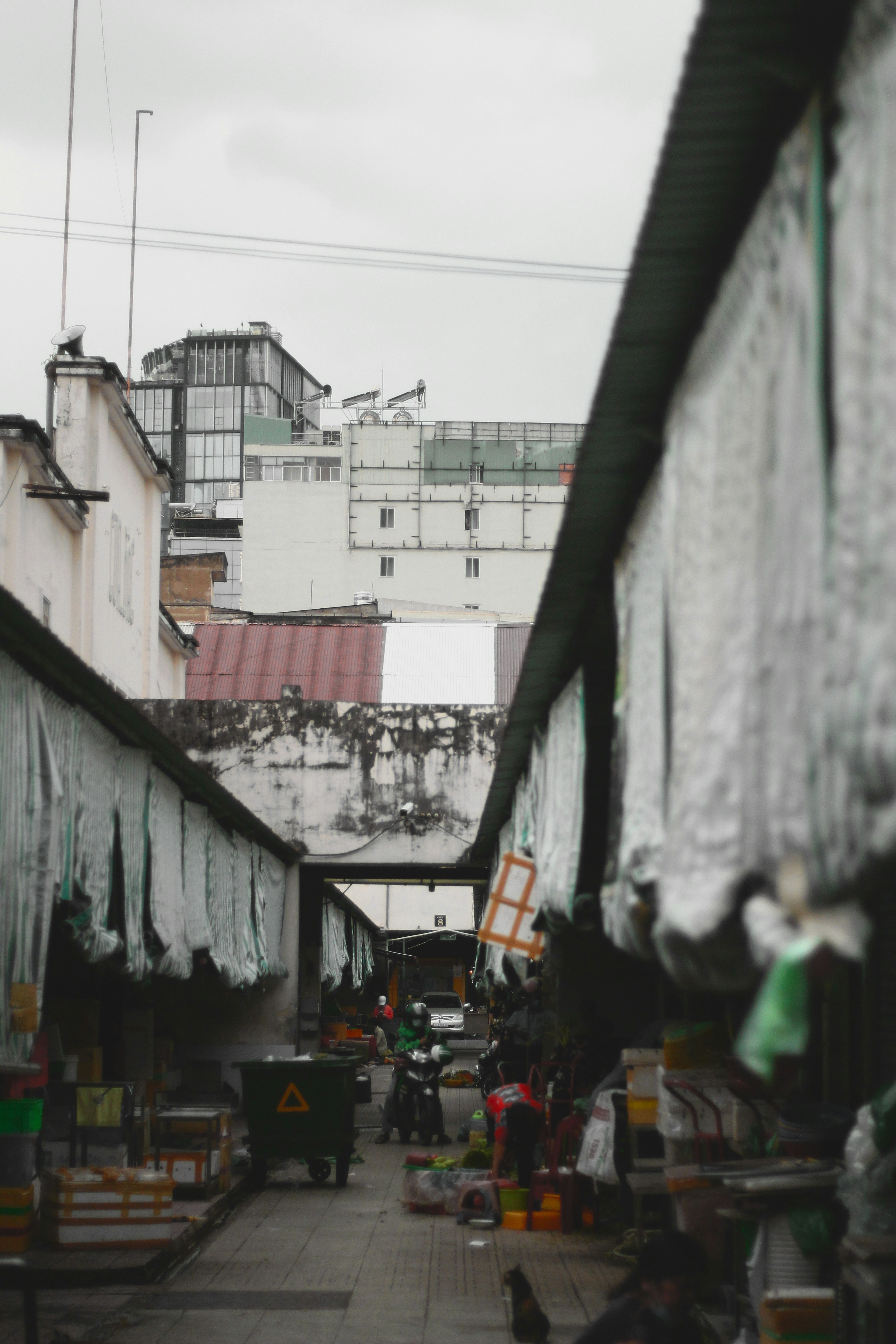 Photo by thinhngthinh304