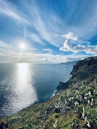 A scenic view of a sunlit Baja coastline with homes nestled near the beach under a clear blue sky.
