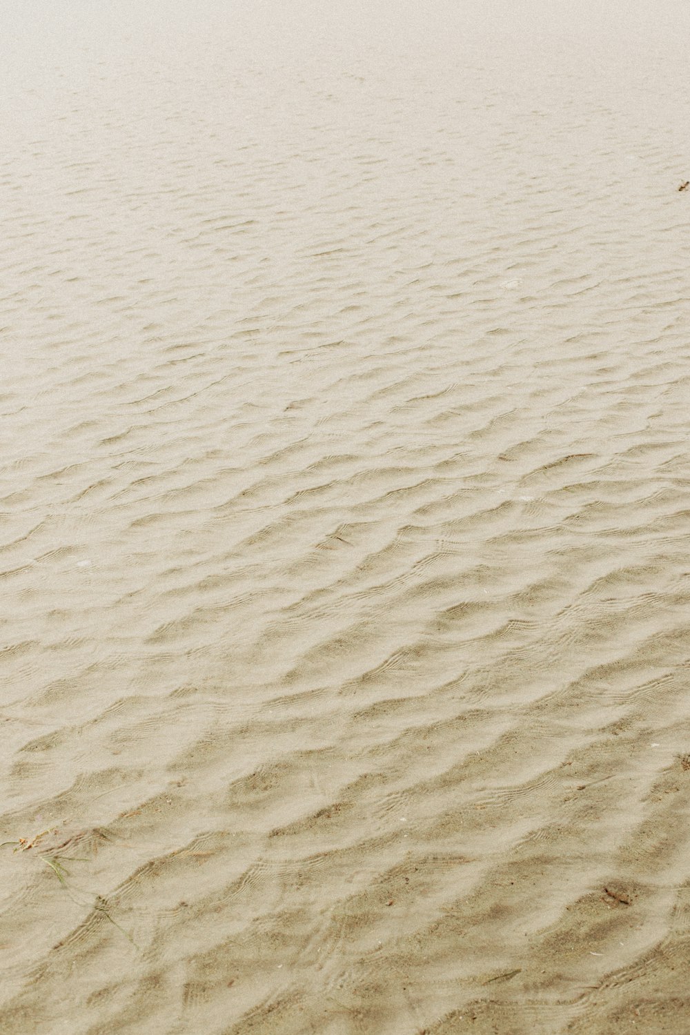 brown sand with white sand