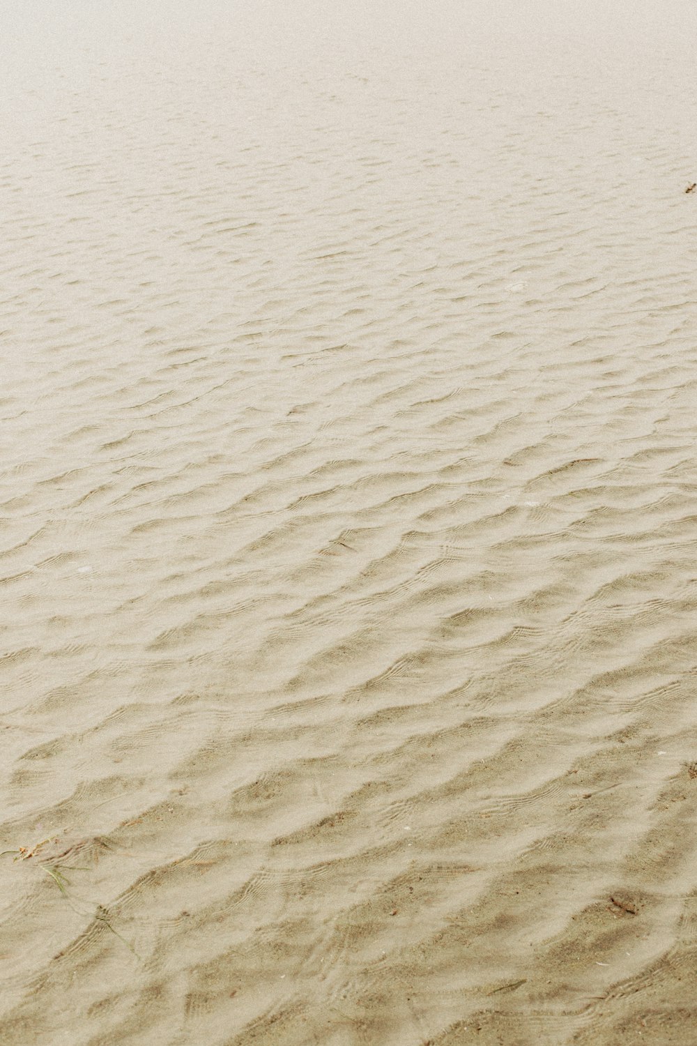 白い砂と茶色の砂