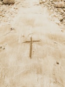 brown sand with brown sand