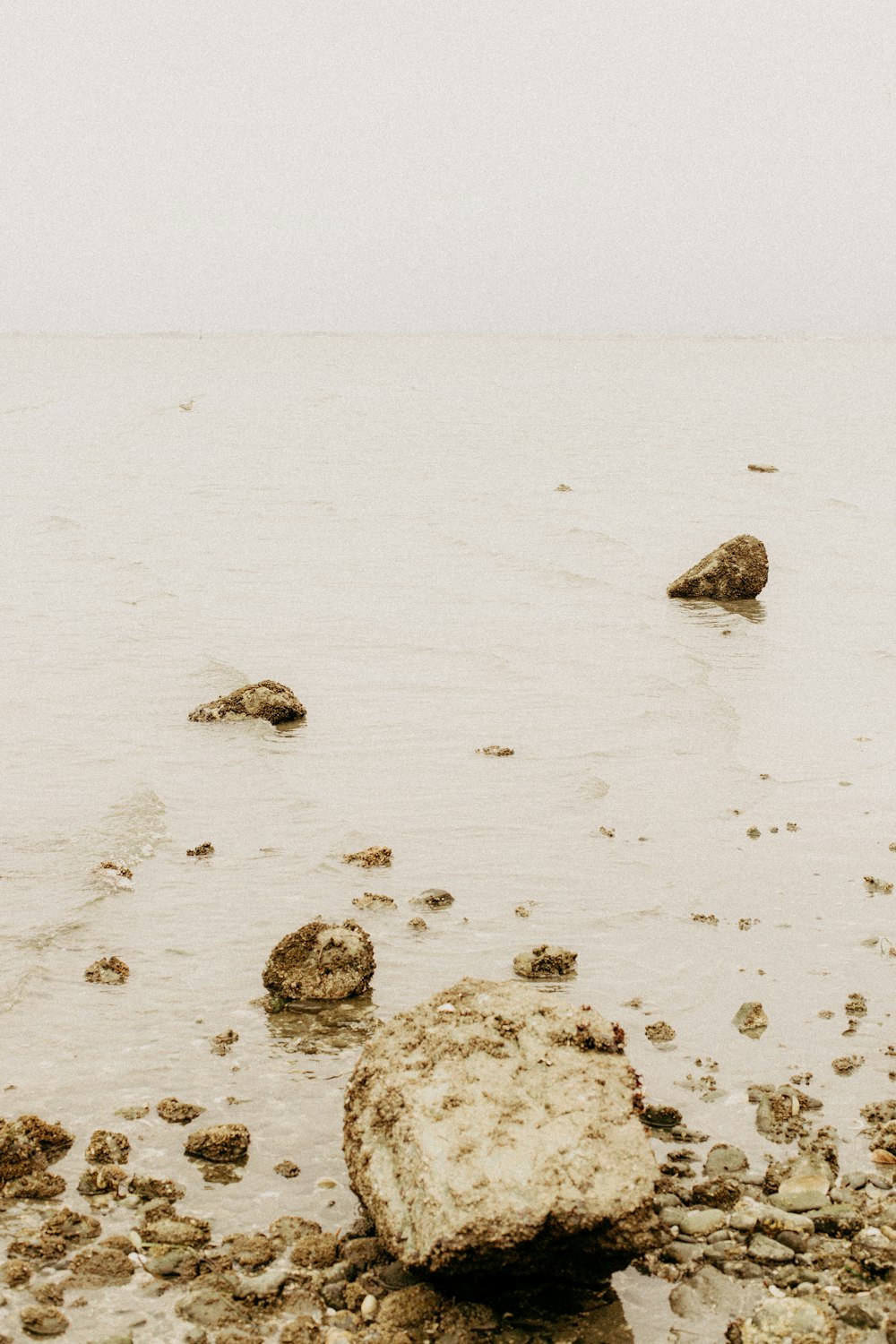 昼間の白い砂浜の上の灰色の岩