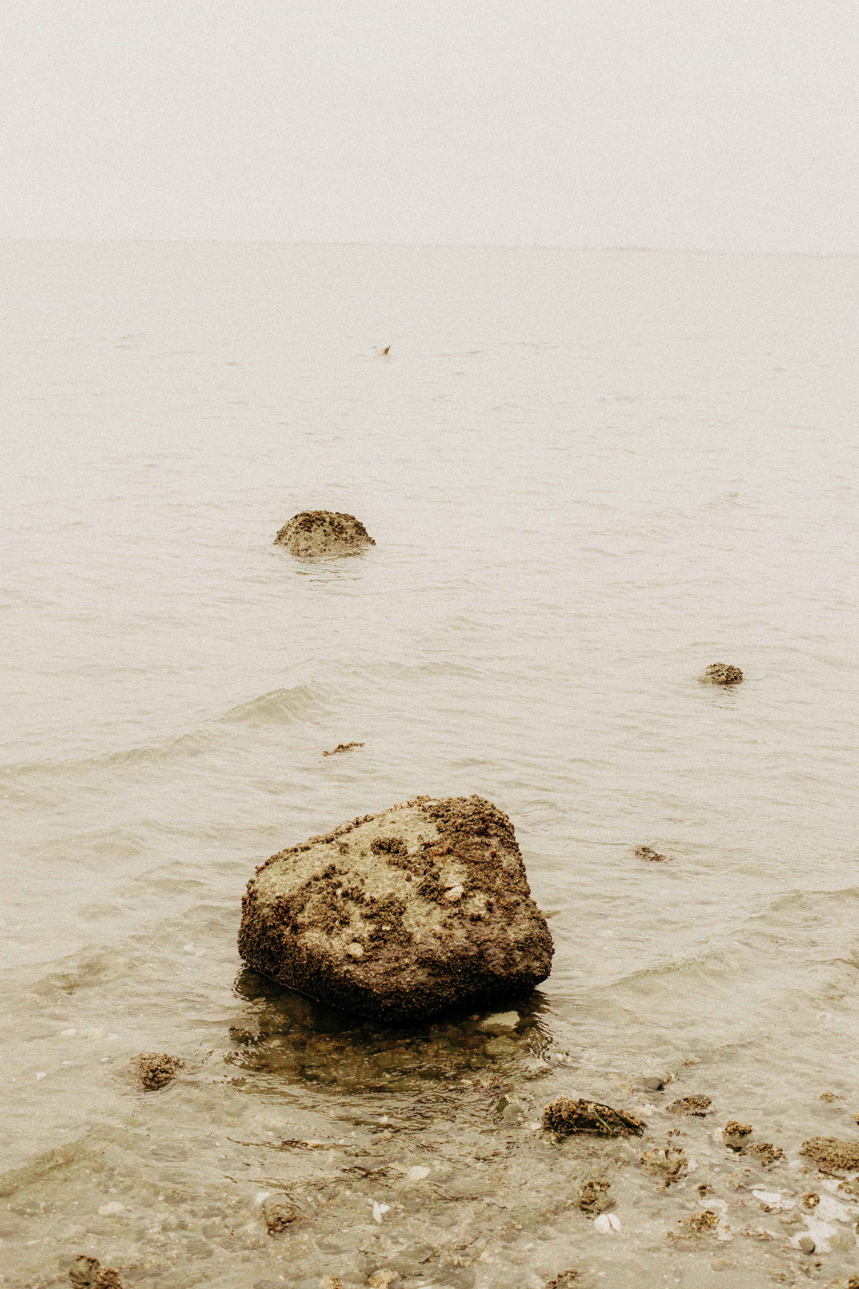 gray rock on white sand