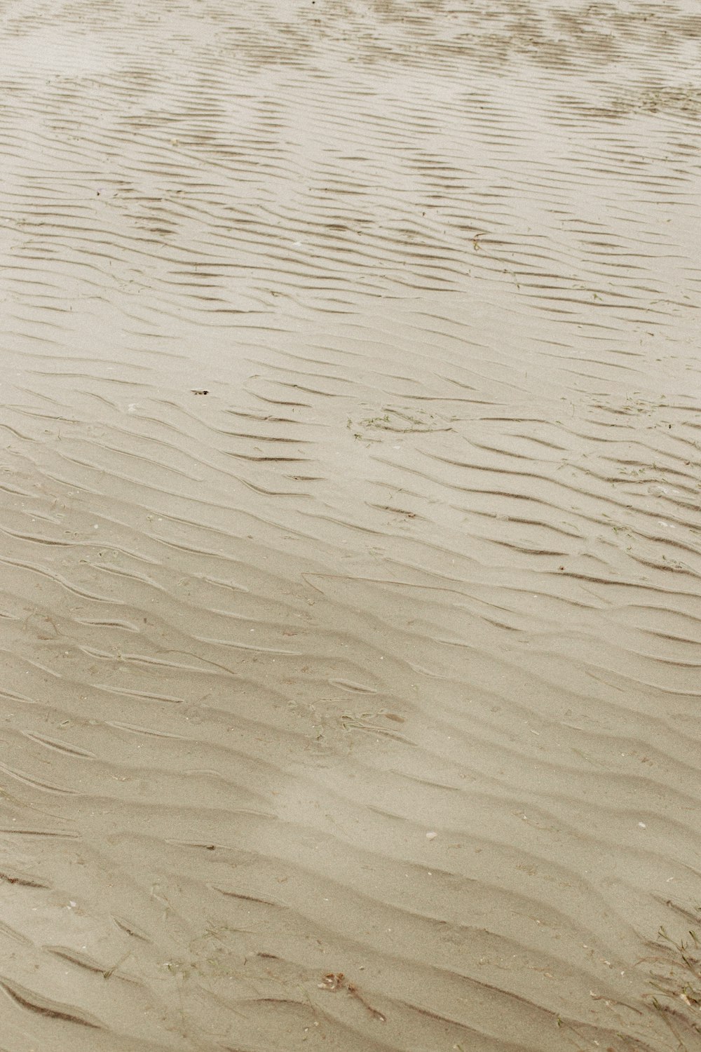 brown sand with water during daytime