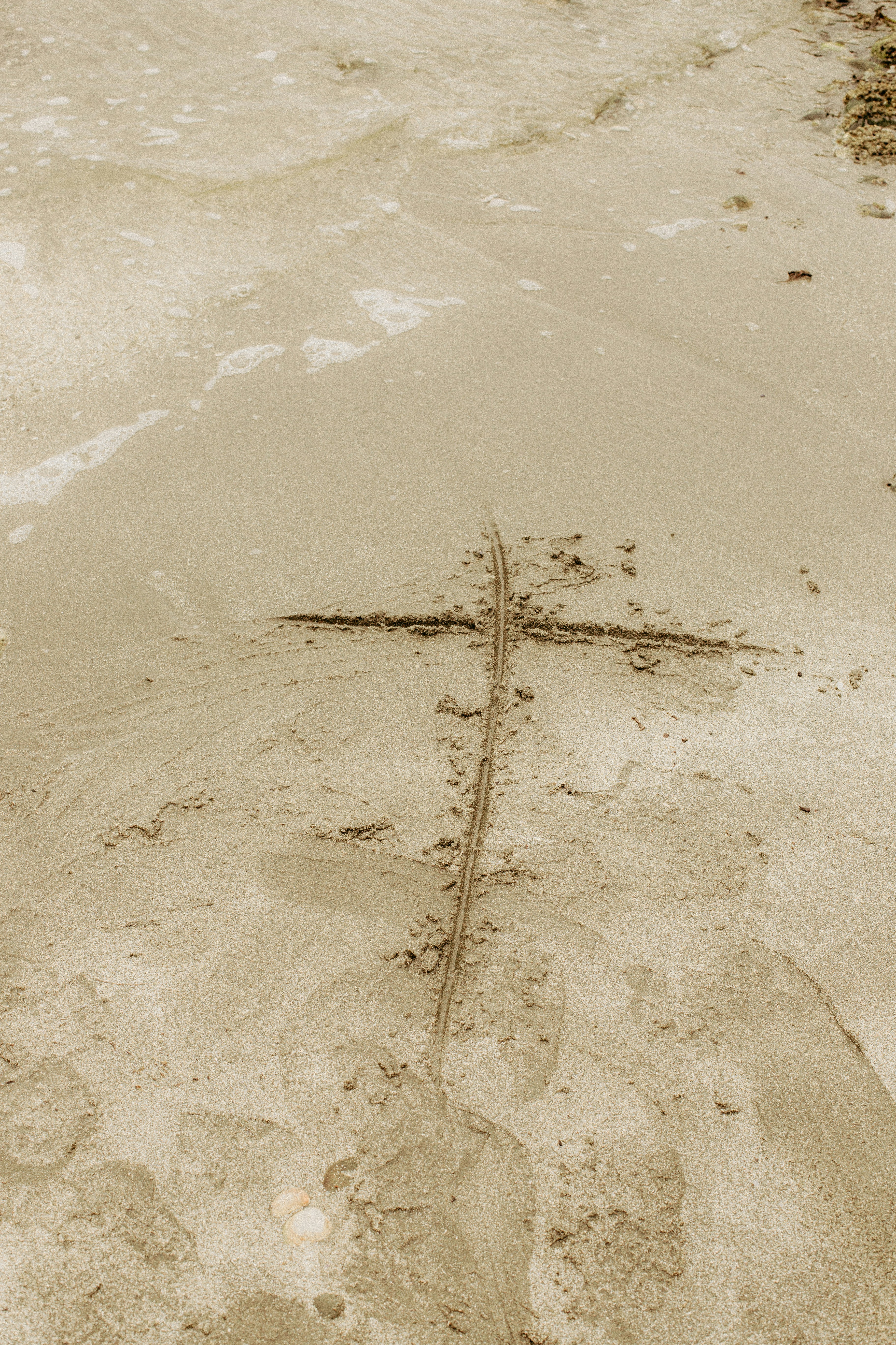 The Story of the Bible: A Journey from Chaos to Redemption