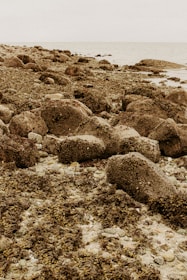 gray rocks on seashore during daytime