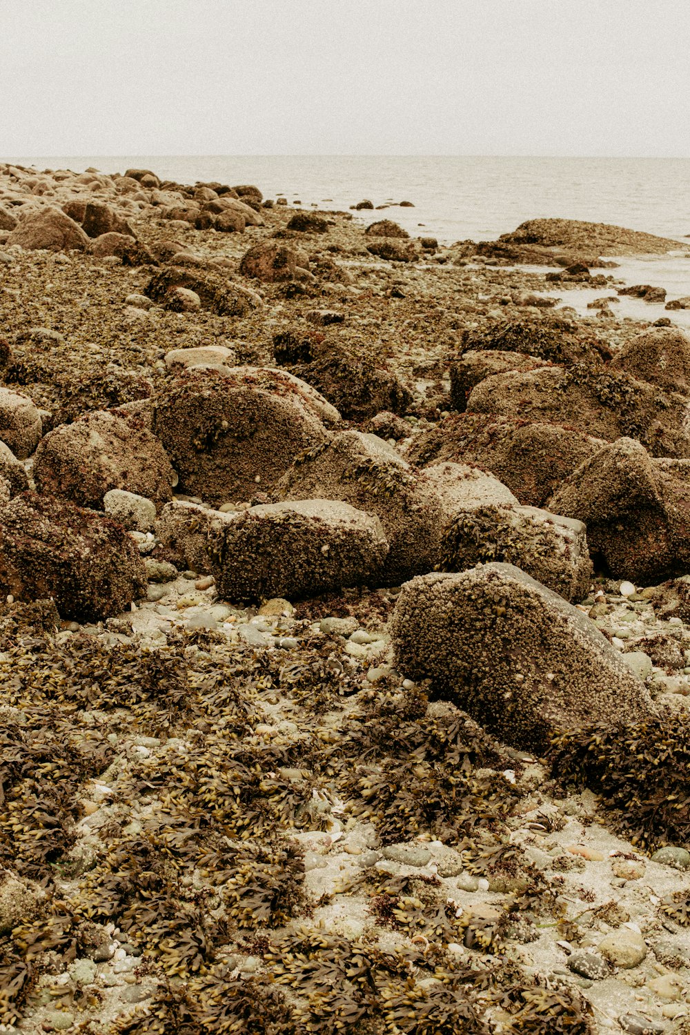 rochas cinzentas na costa durante o dia