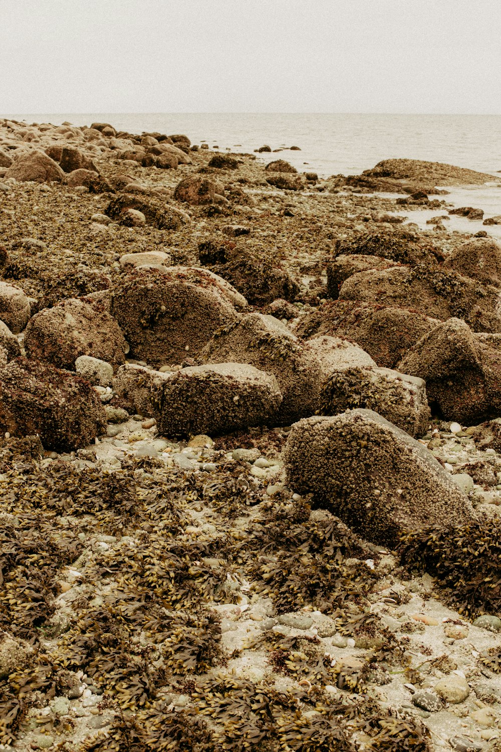 rocce grigie in riva al mare durante il giorno