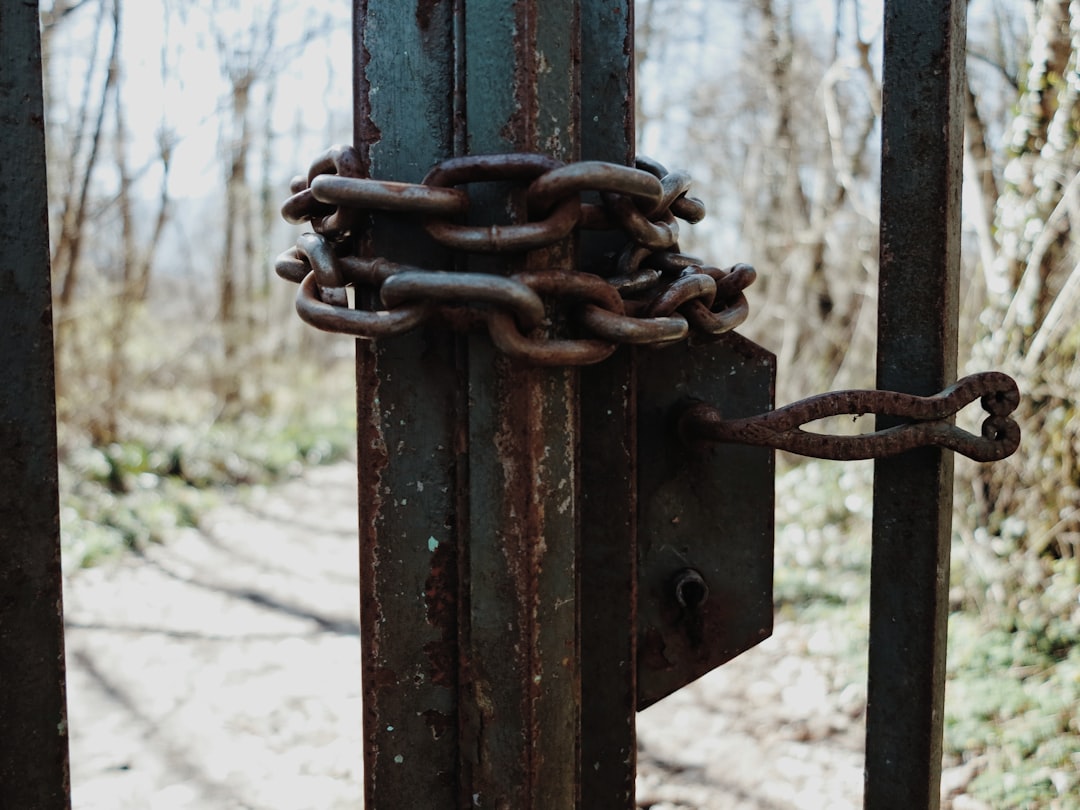 blue metal fence with padlock