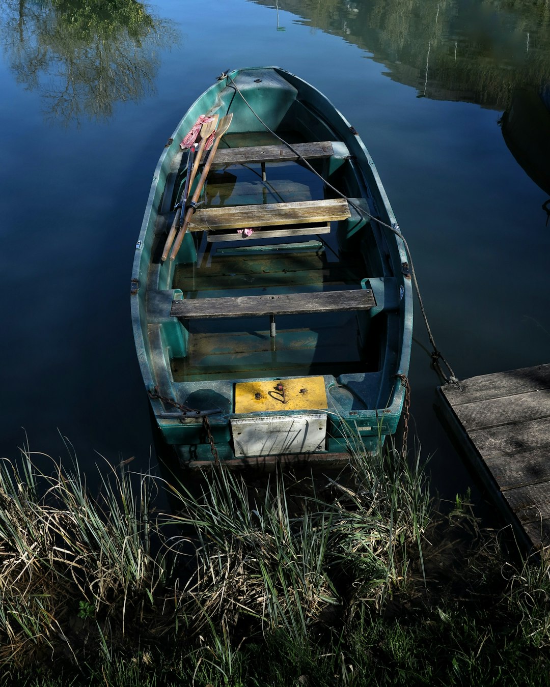 blue and white boat on green grass near body of water during daytime