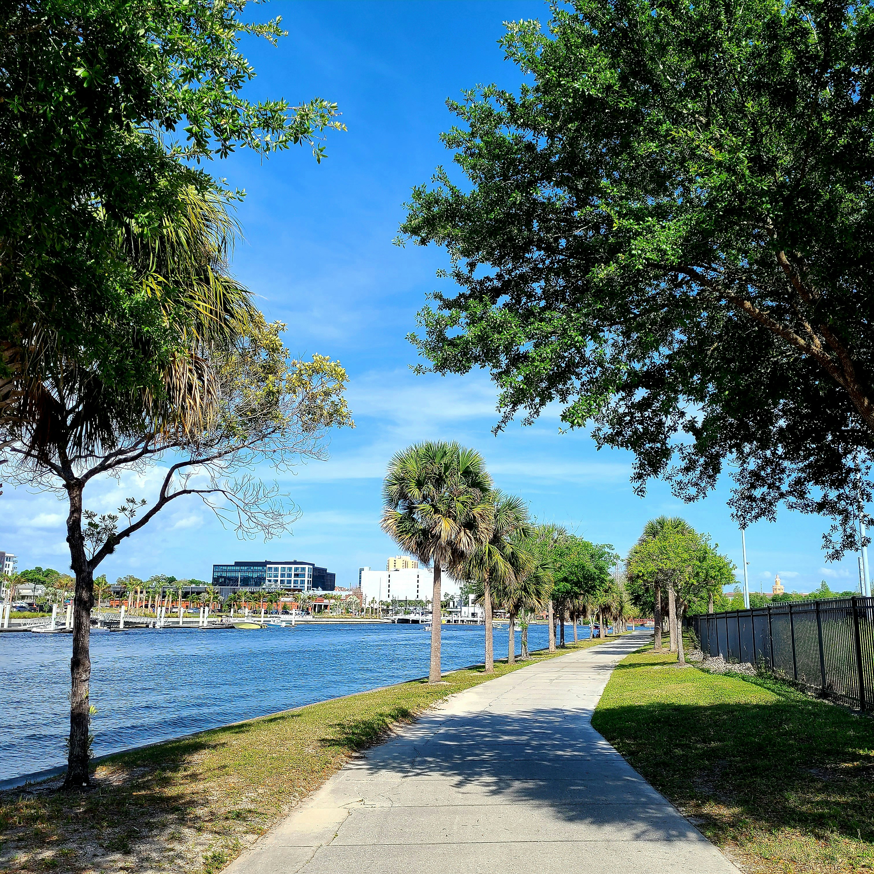 Tampa Riverwalk