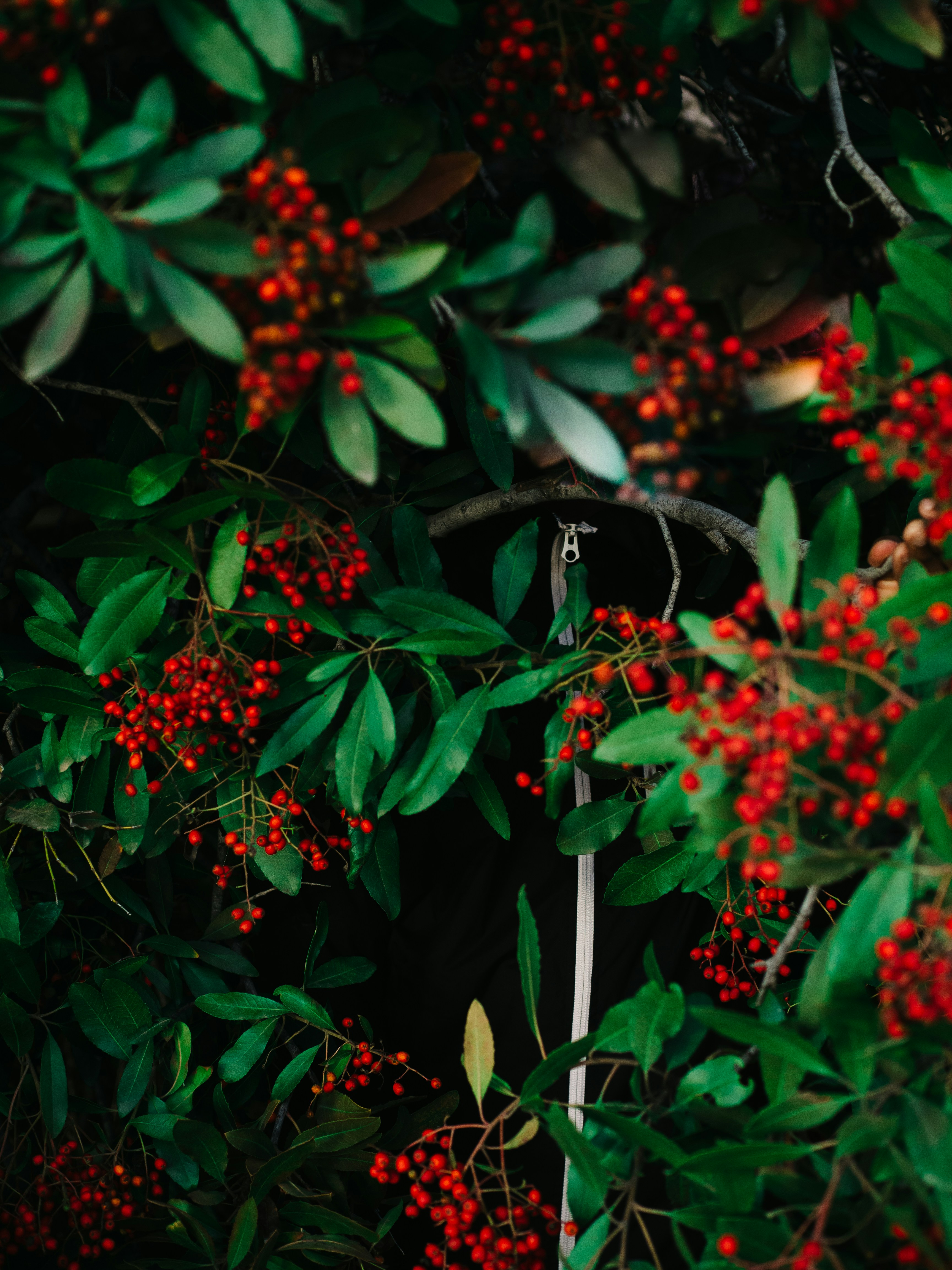 Photo by charlesetoroma