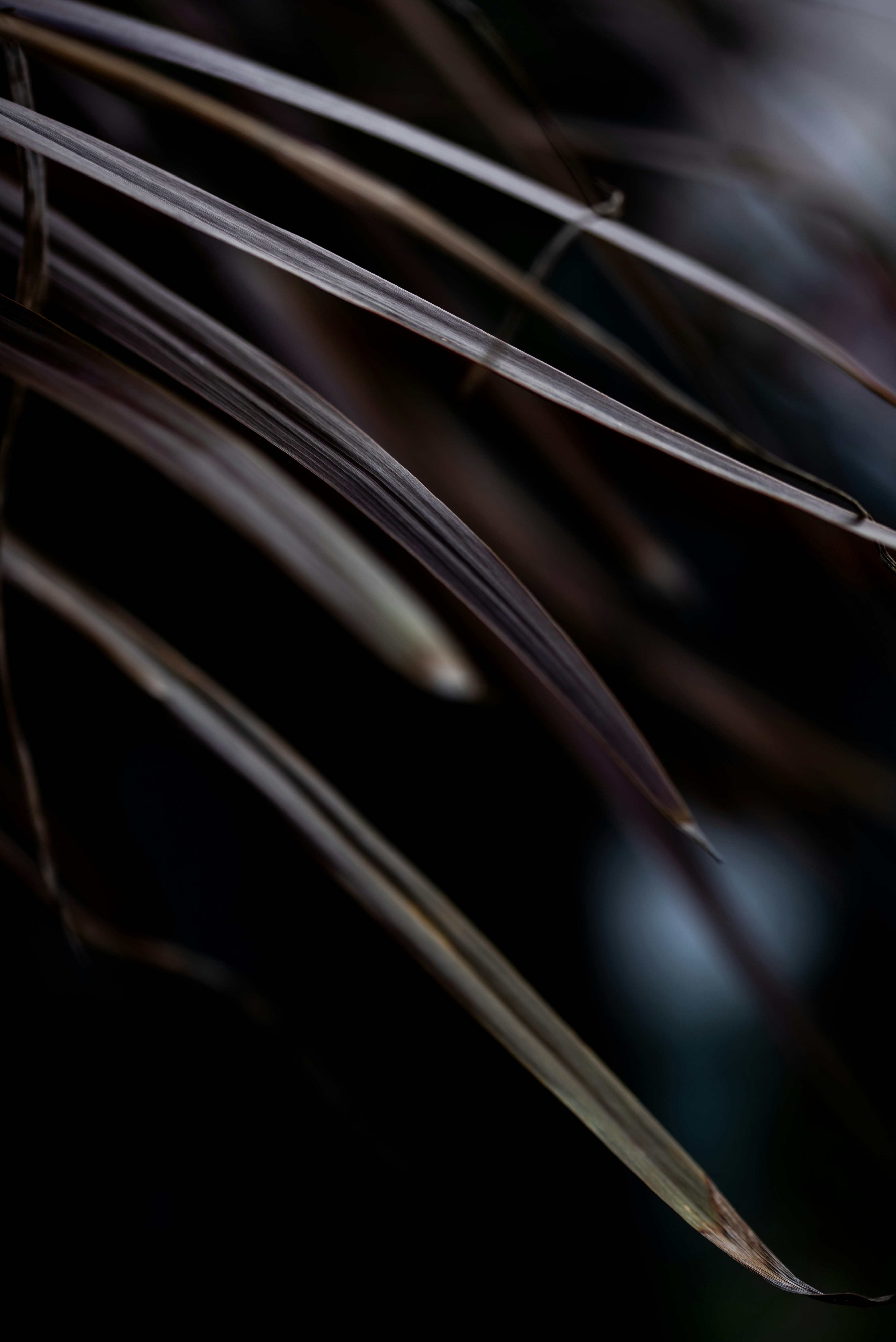 Photo by lauraadaiphoto