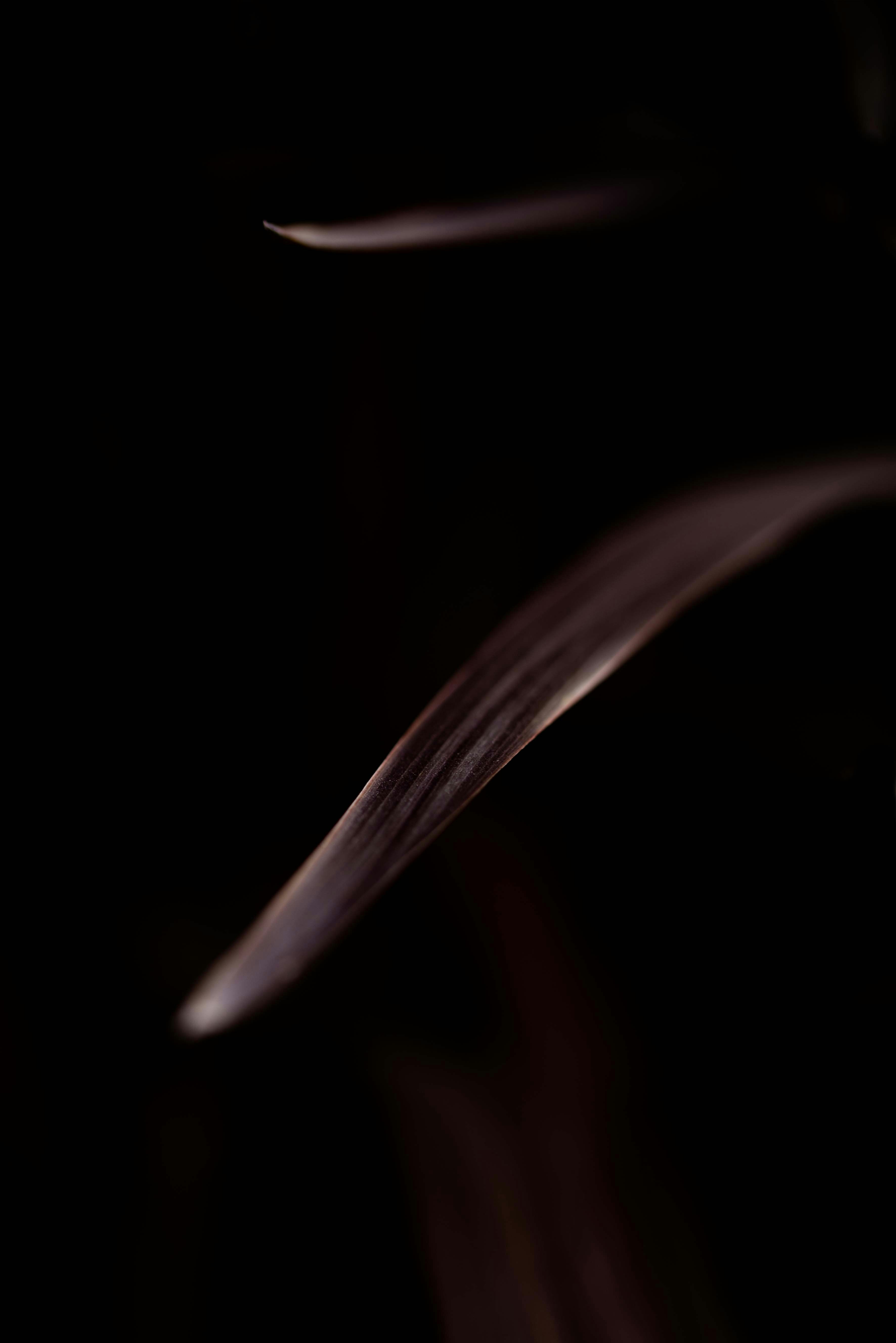 Photo by lauraadaiphoto