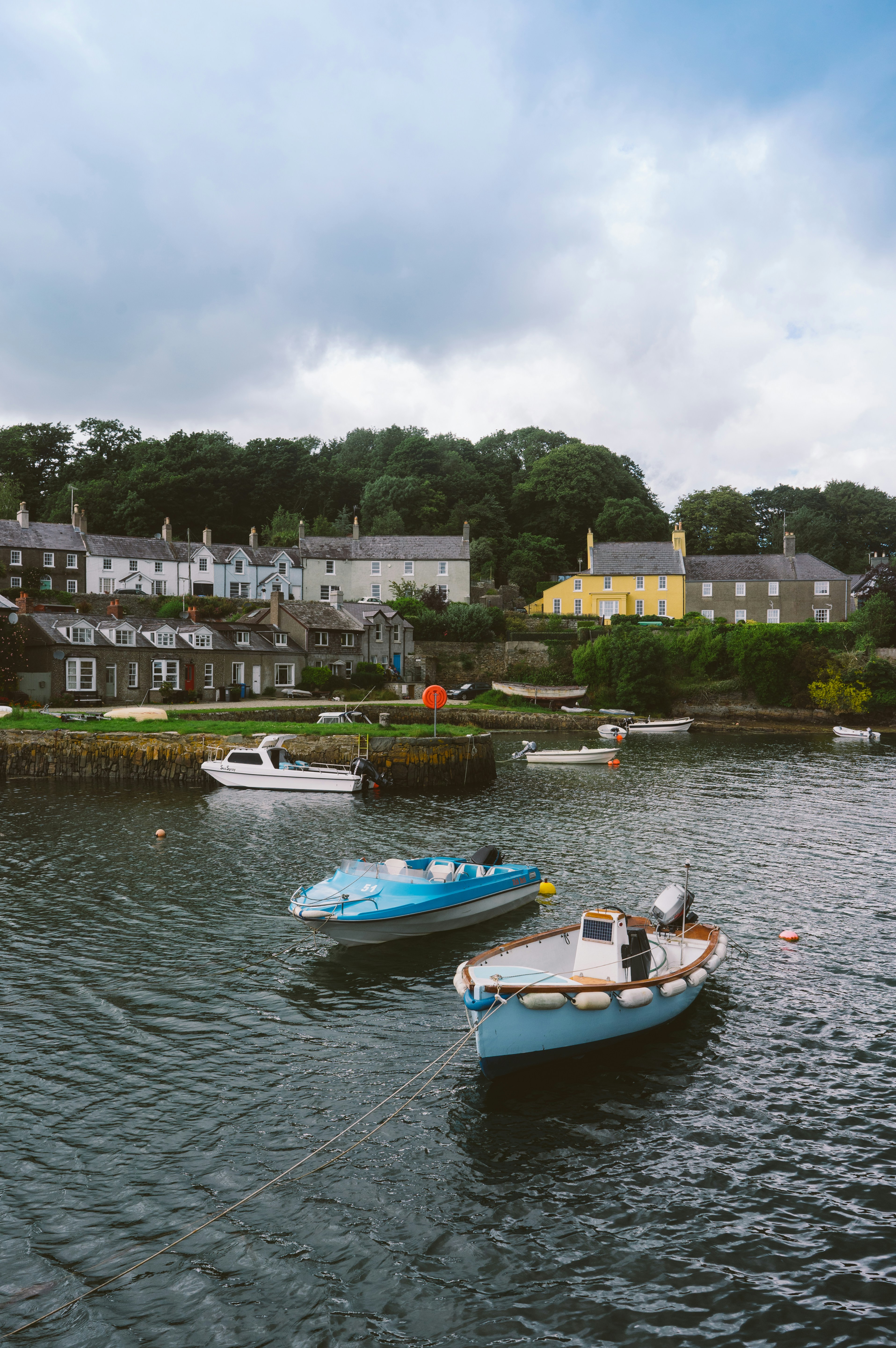 Bote blanco y azul en el río cerca de árboles verdes durante el día