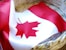 A Canadian flag with a red maple leaf in the center is draped inside a woven basket made from recycled newspaper. The flag's bright red and white colors contrast with the earthy tones of the basket.