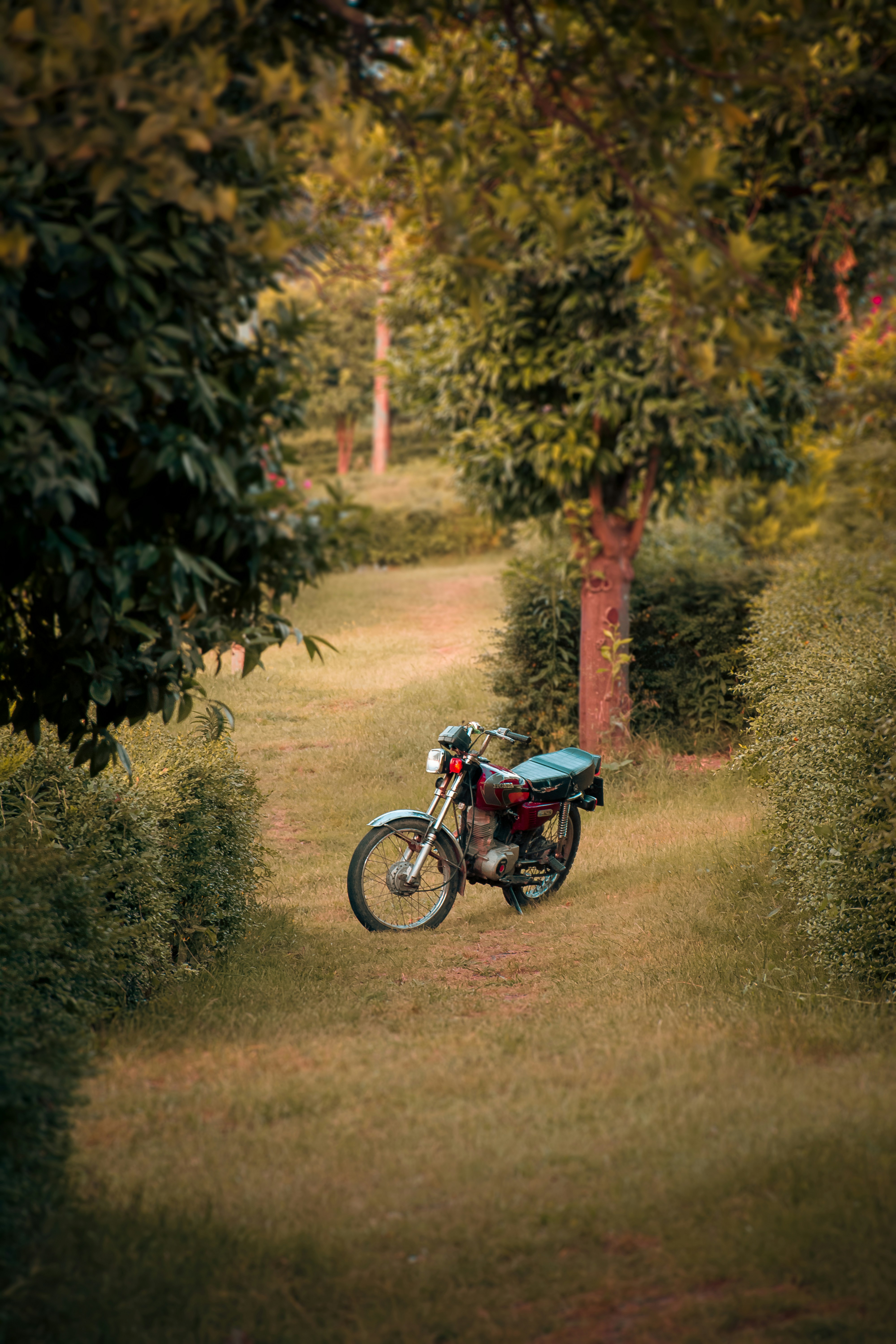 blue and black motorcycle on dirt road