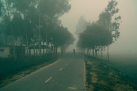 A foggy road stretches into the distance, flanked by tall trees on both sides. A solitary figure is visible walking down the road, creating a sense of solitude. The fog creates a misty, dream-like atmosphere, and the buildings are faintly visible through the haze.