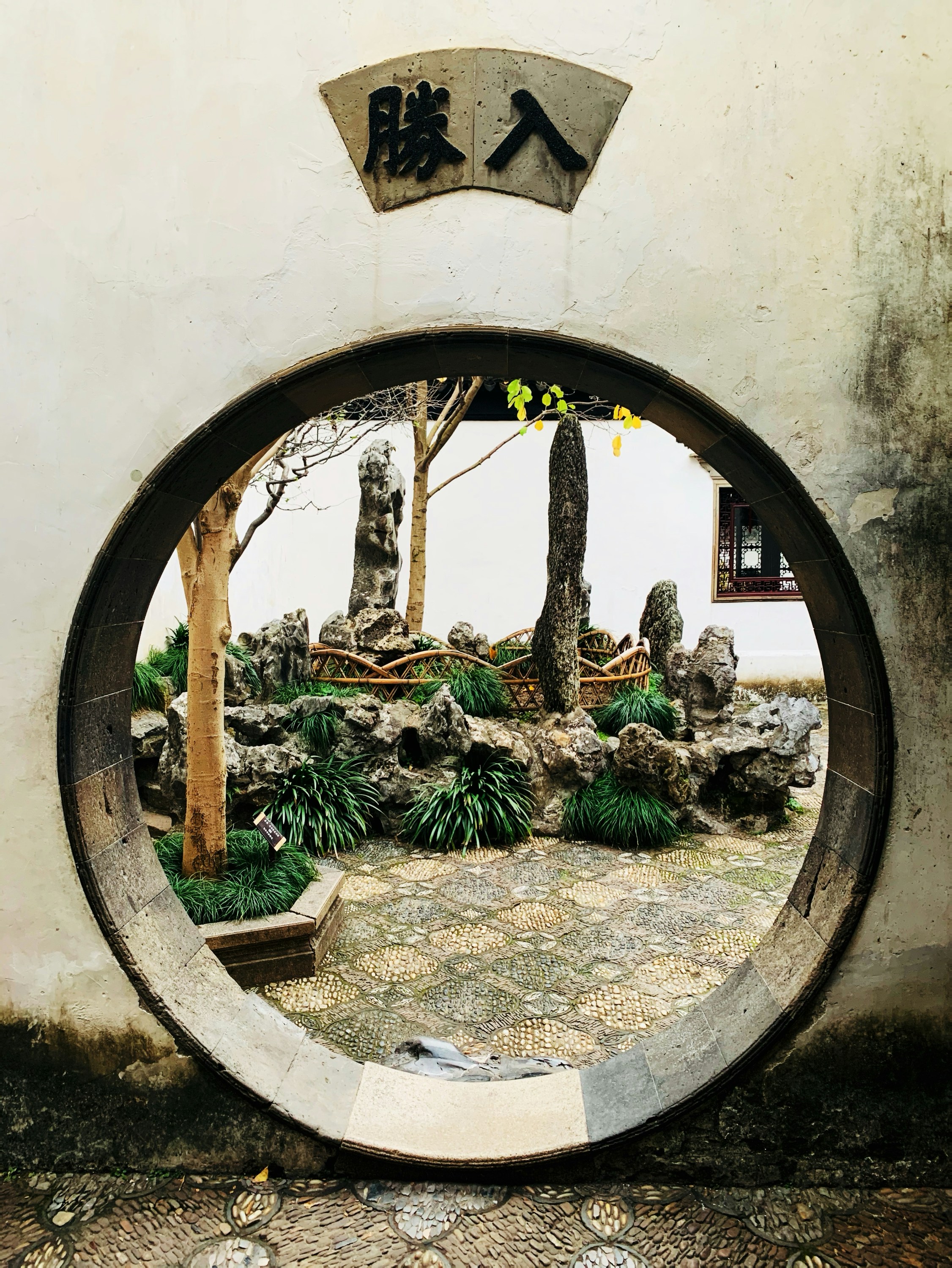 Plantas verdes en marco redondo de madera marrón