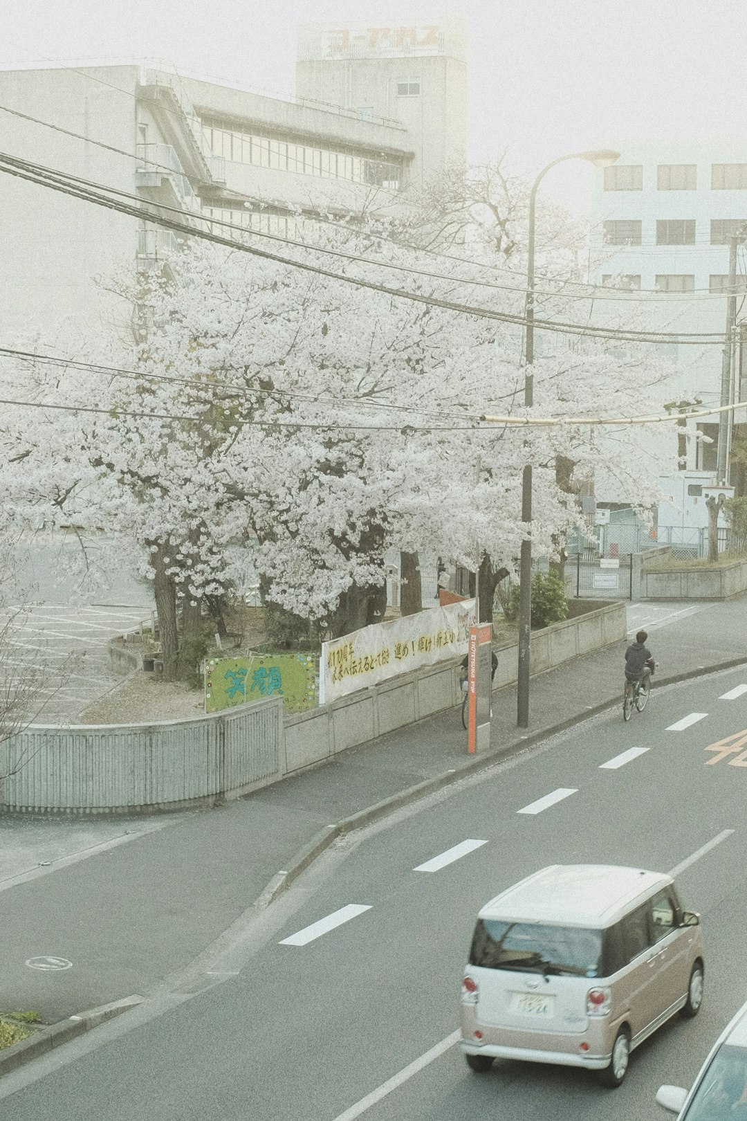 people walking on sidewalk near road during daytime