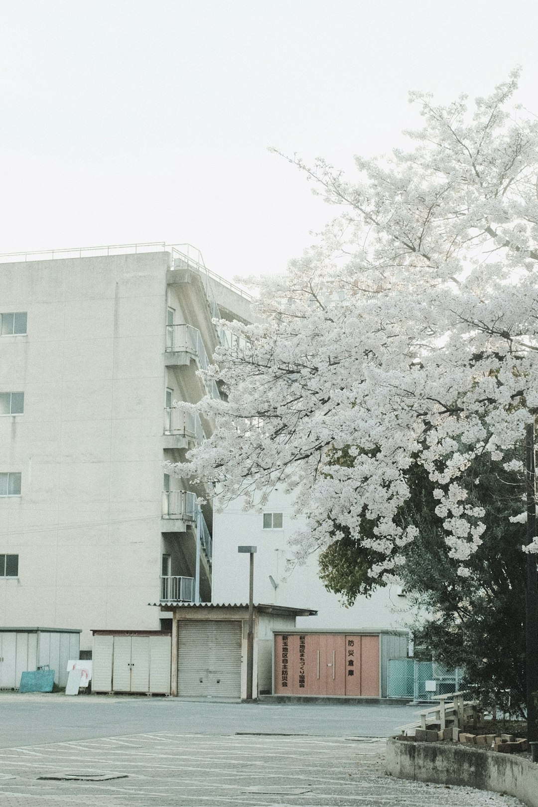 white concrete building near trees during daytime