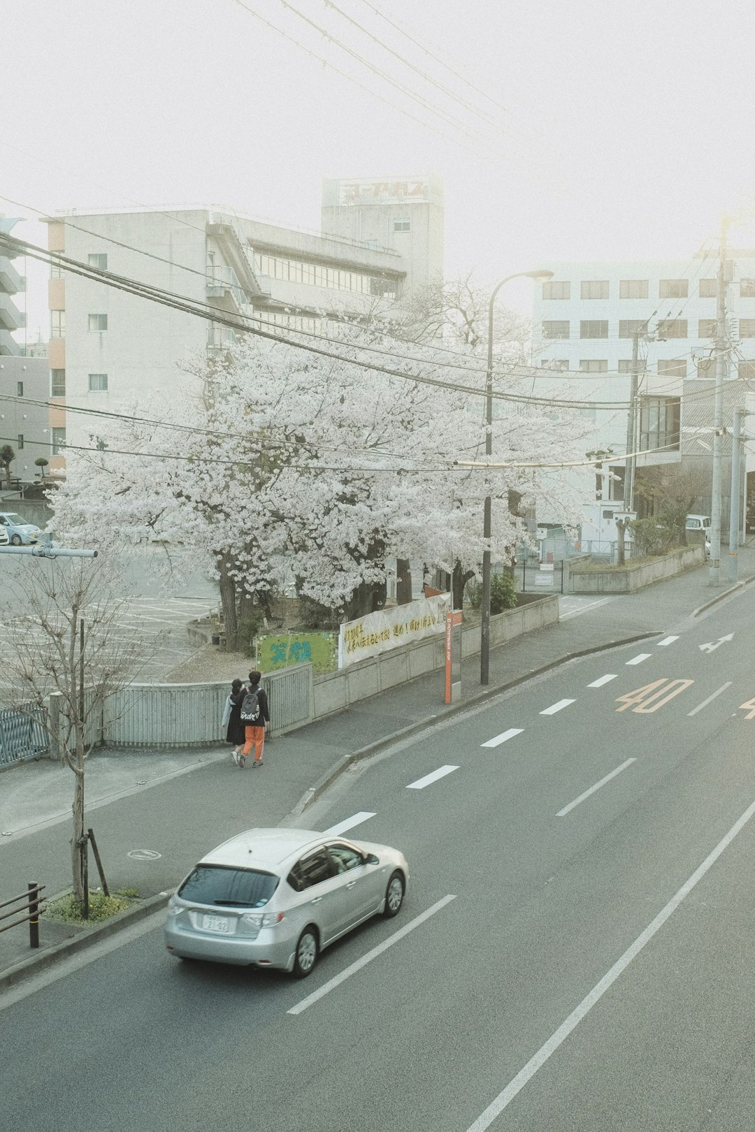 cars on road near buildings during daytime