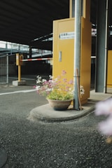 A parking ticket machine is positioned next to a pole, with a yellow sign that reads 'Please Take a Ticket' in both English and Japanese. In front of the machine, a decorative pot of flowers adds a splash of color amidst the concrete surroundings of the parking lot.