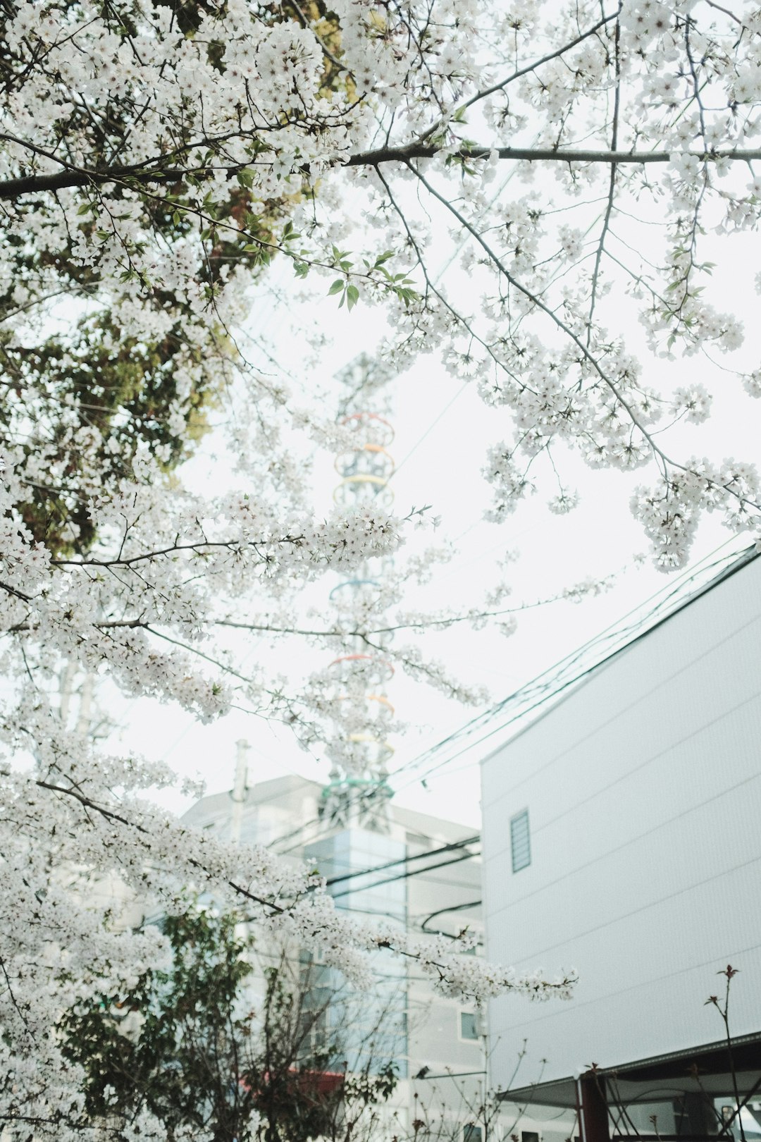 white concrete building near trees during daytime