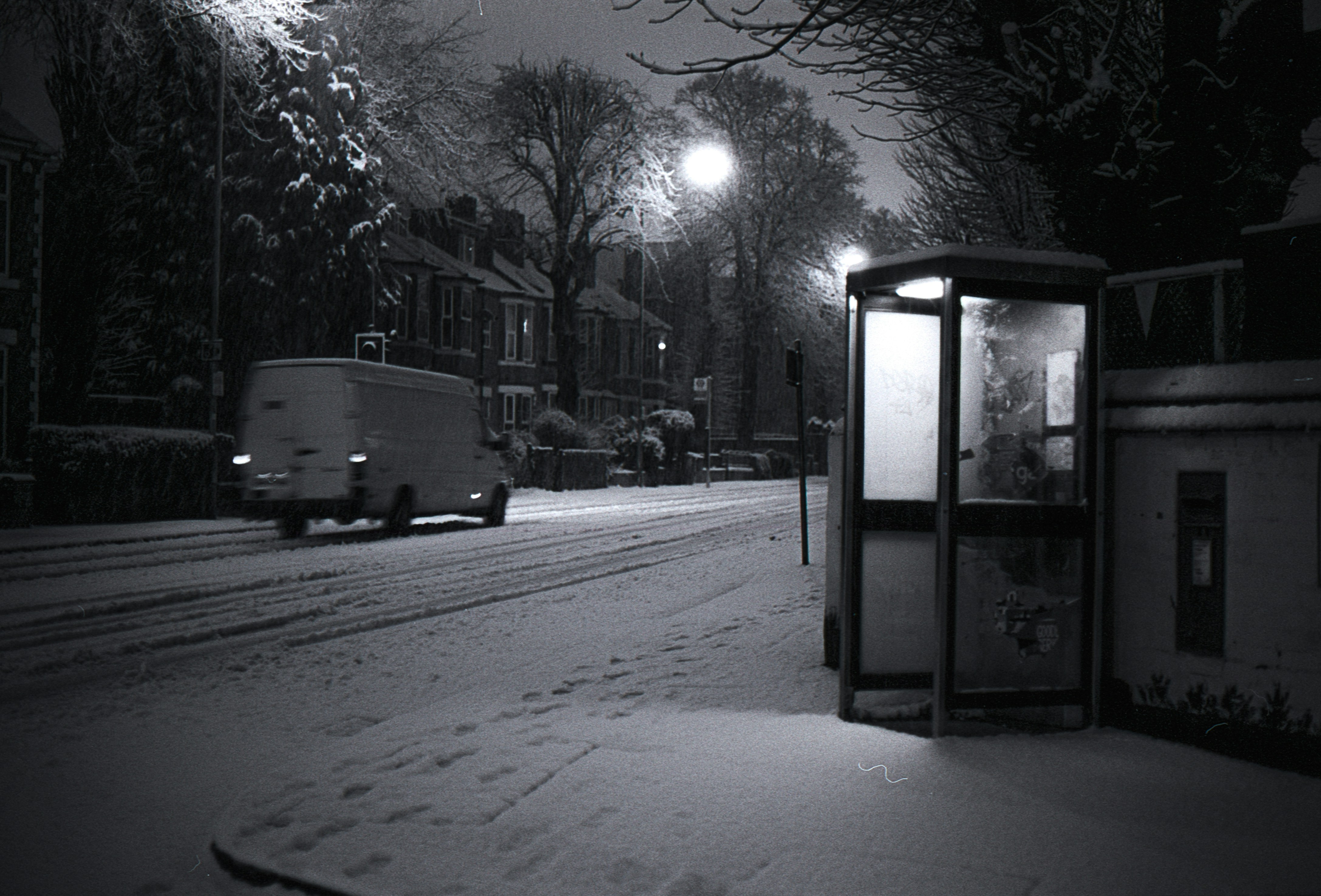 Graustufenfoto von Bäumen und Gebäuden