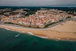 aerial view of city buildings near body of water during daytime