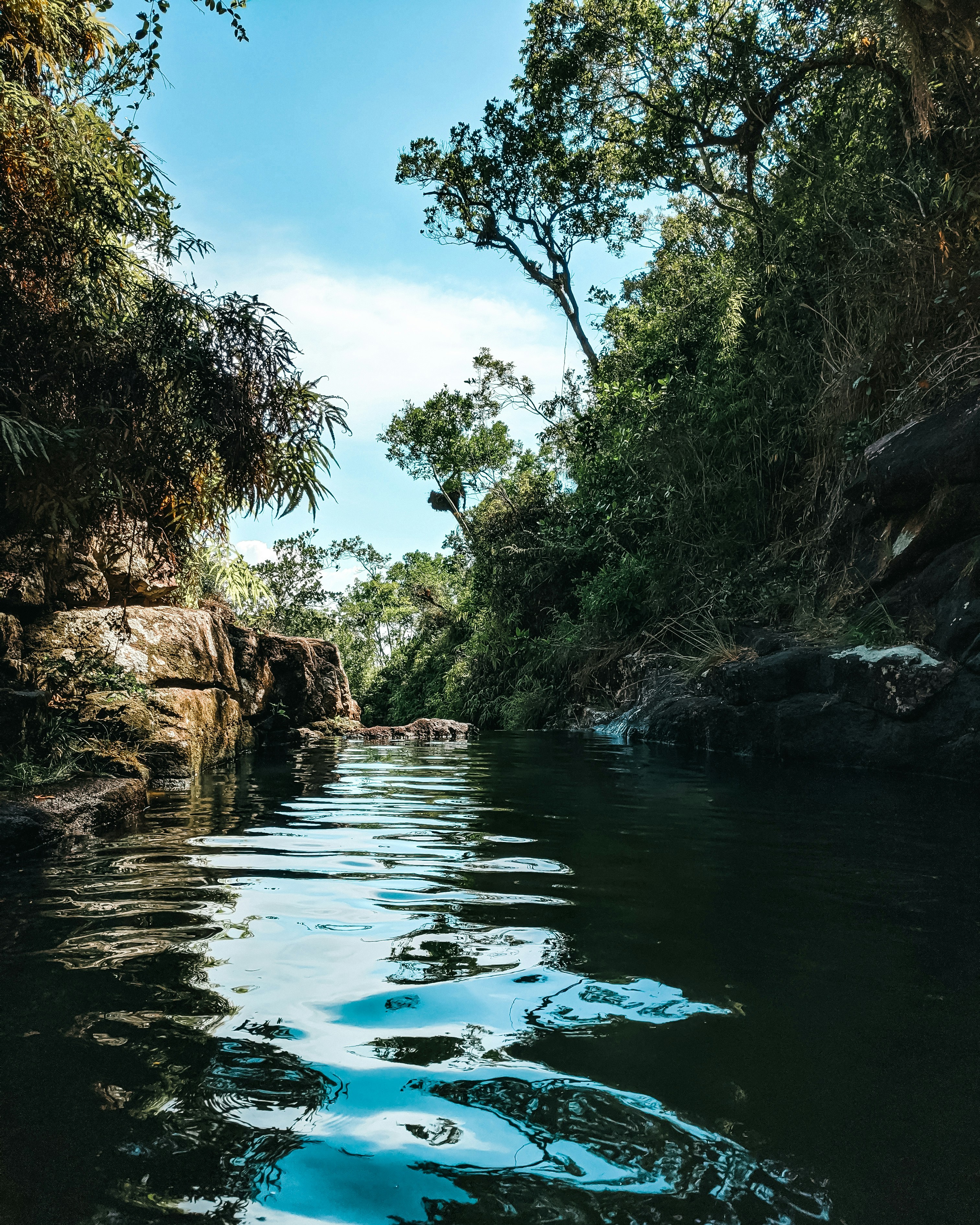 água azul entre árvores marrons e verdes durante o dia