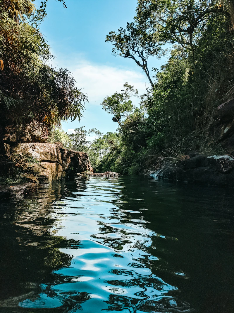 Lancha navegando entre la selva del río Inírida