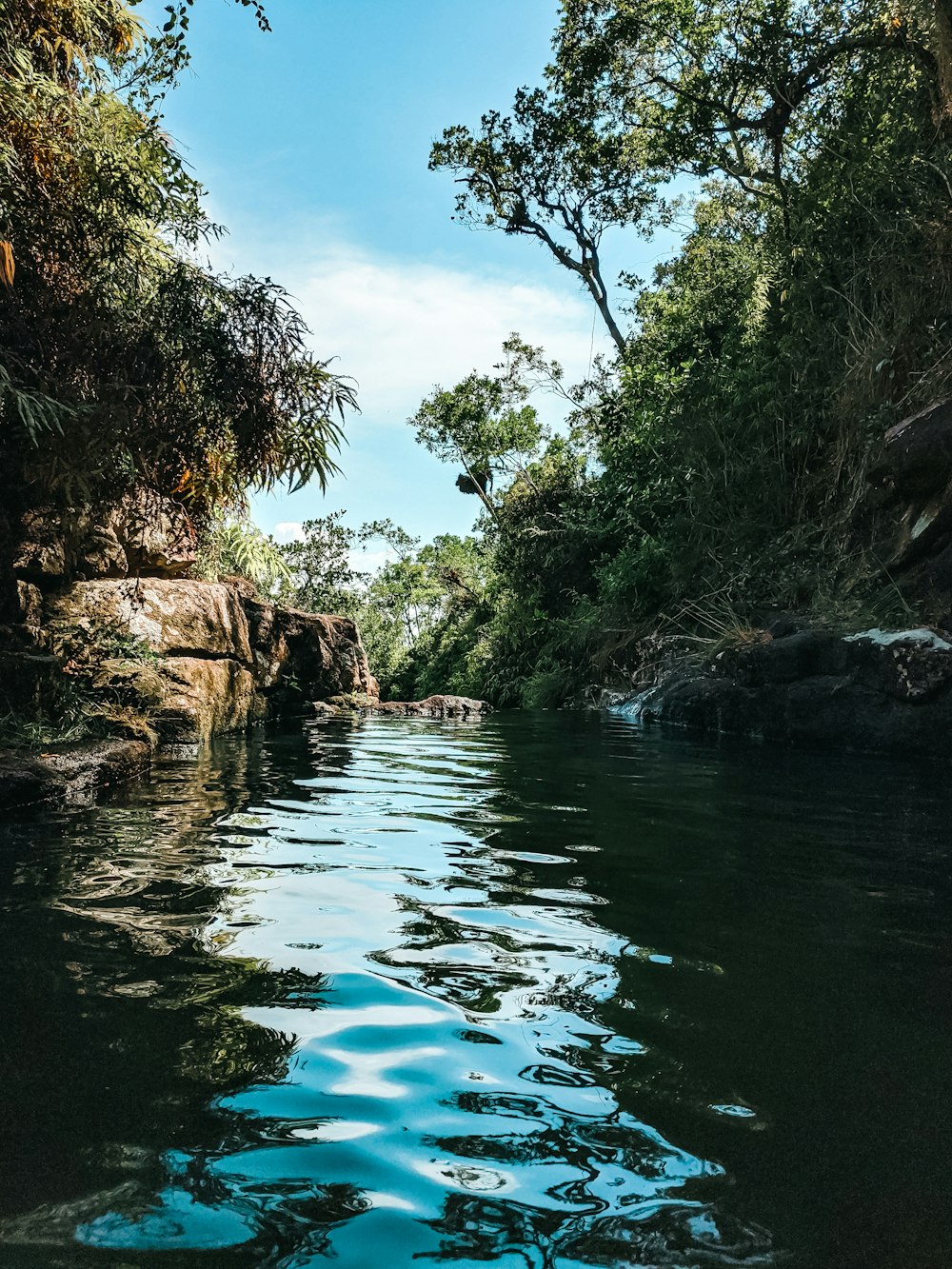 blue body of water between brown and green trees during daytime