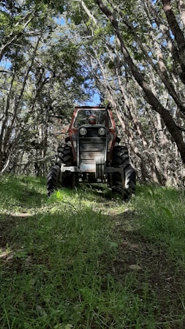 A tractor is positioned in a forested area with surrounding trees creating a canopy. The tractor has a rustic, aged appearance and is situated on a bed of lush green grass. Sunlight filters through the leaves, casting dappled shadows on the ground.