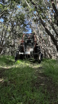 A tractor is positioned in a forested area with surrounding trees creating a canopy. The tractor has a rustic, aged appearance and is situated on a bed of lush green grass. Sunlight filters through the leaves, casting dappled shadows on the ground.