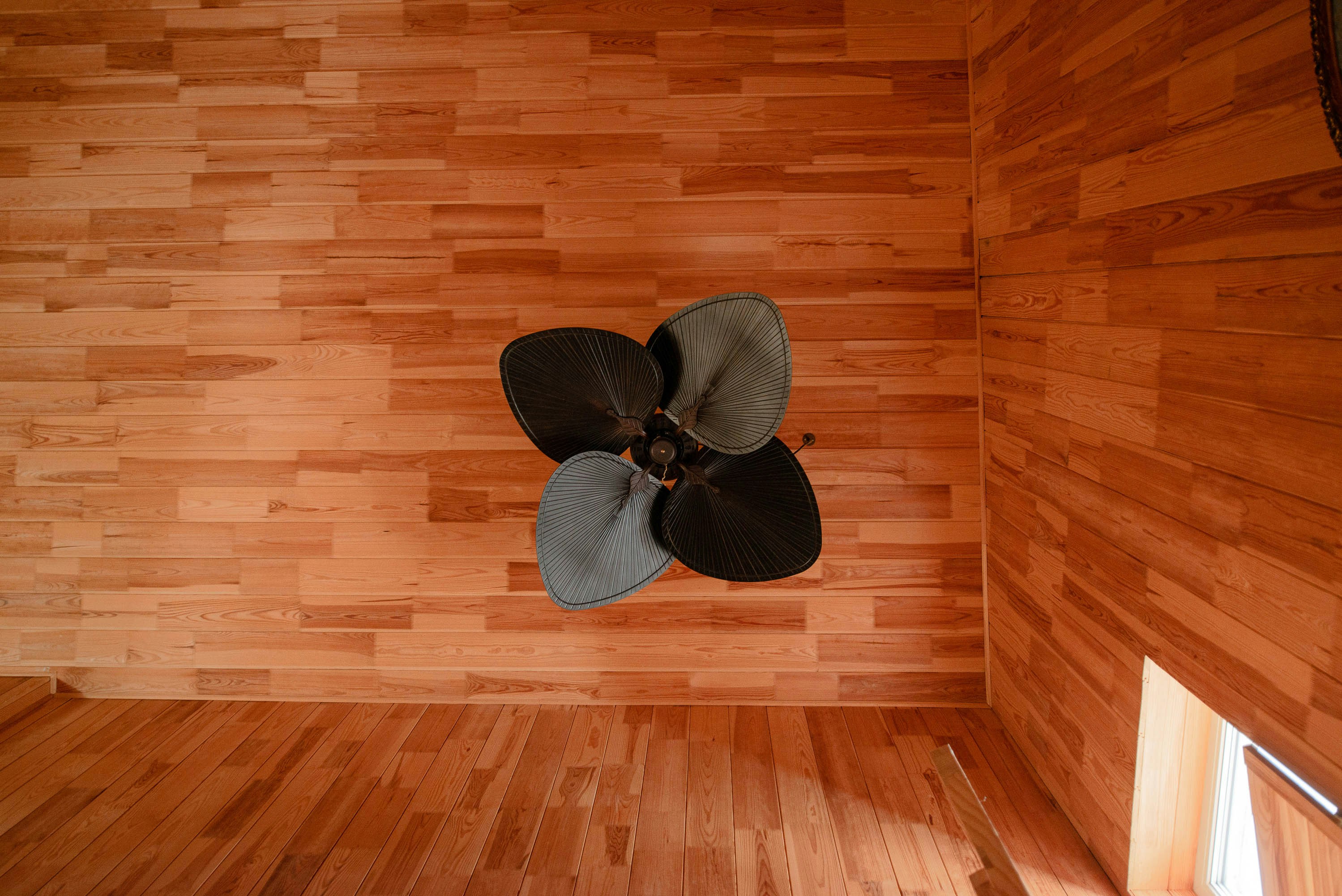 photo-1617044351564-edc92b339fd3?ixid=M3