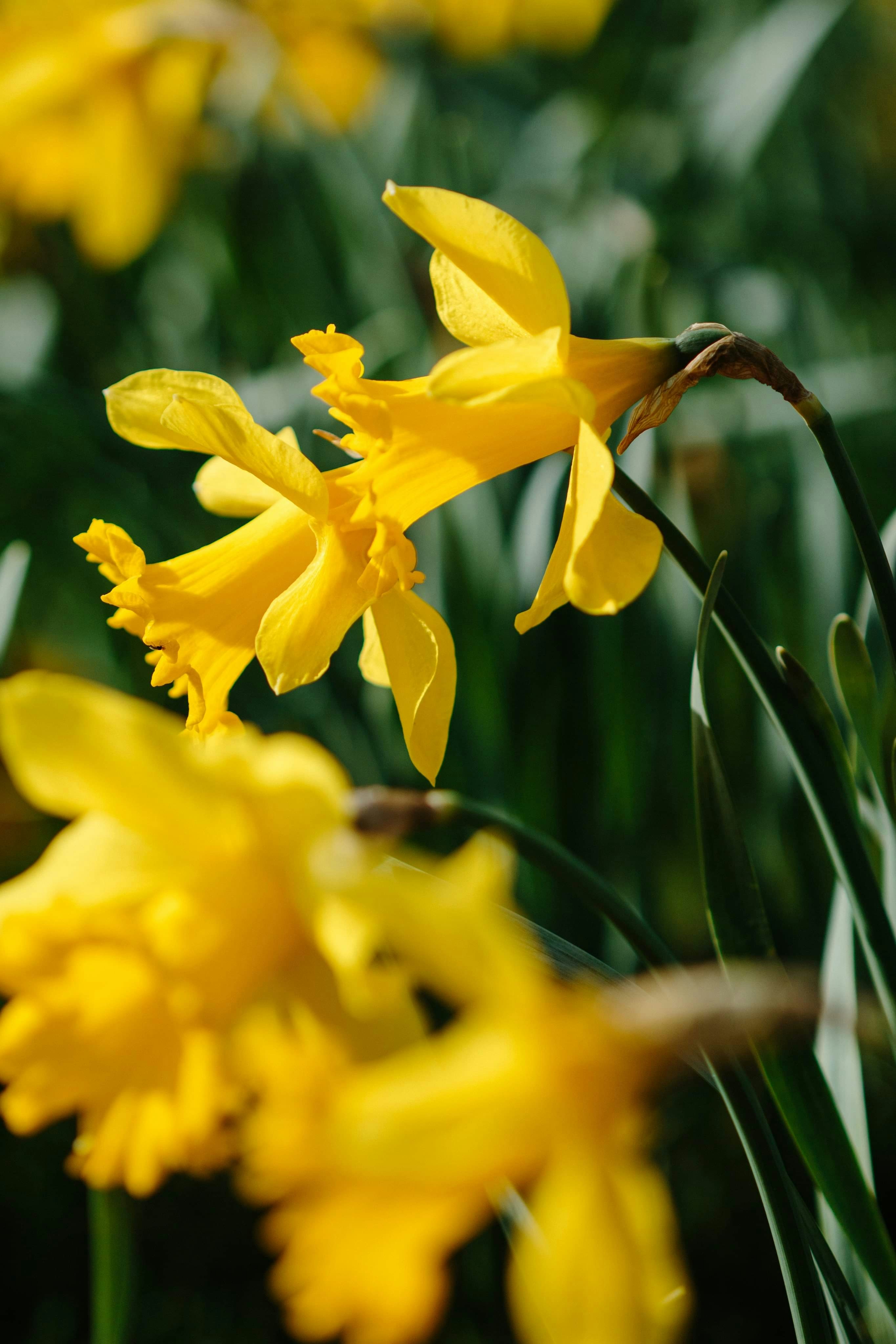 Photo by sarahhongerloot