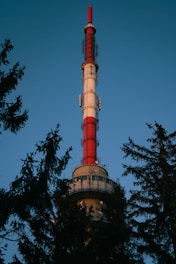 A tall telecommunications tower painted in red and white rises against a clear blue sky, partially framed by the silhouettes of evergreen trees.