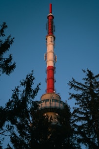 A tall telecommunications tower painted in red and white rises against a clear blue sky, partially framed by the silhouettes of evergreen trees.
